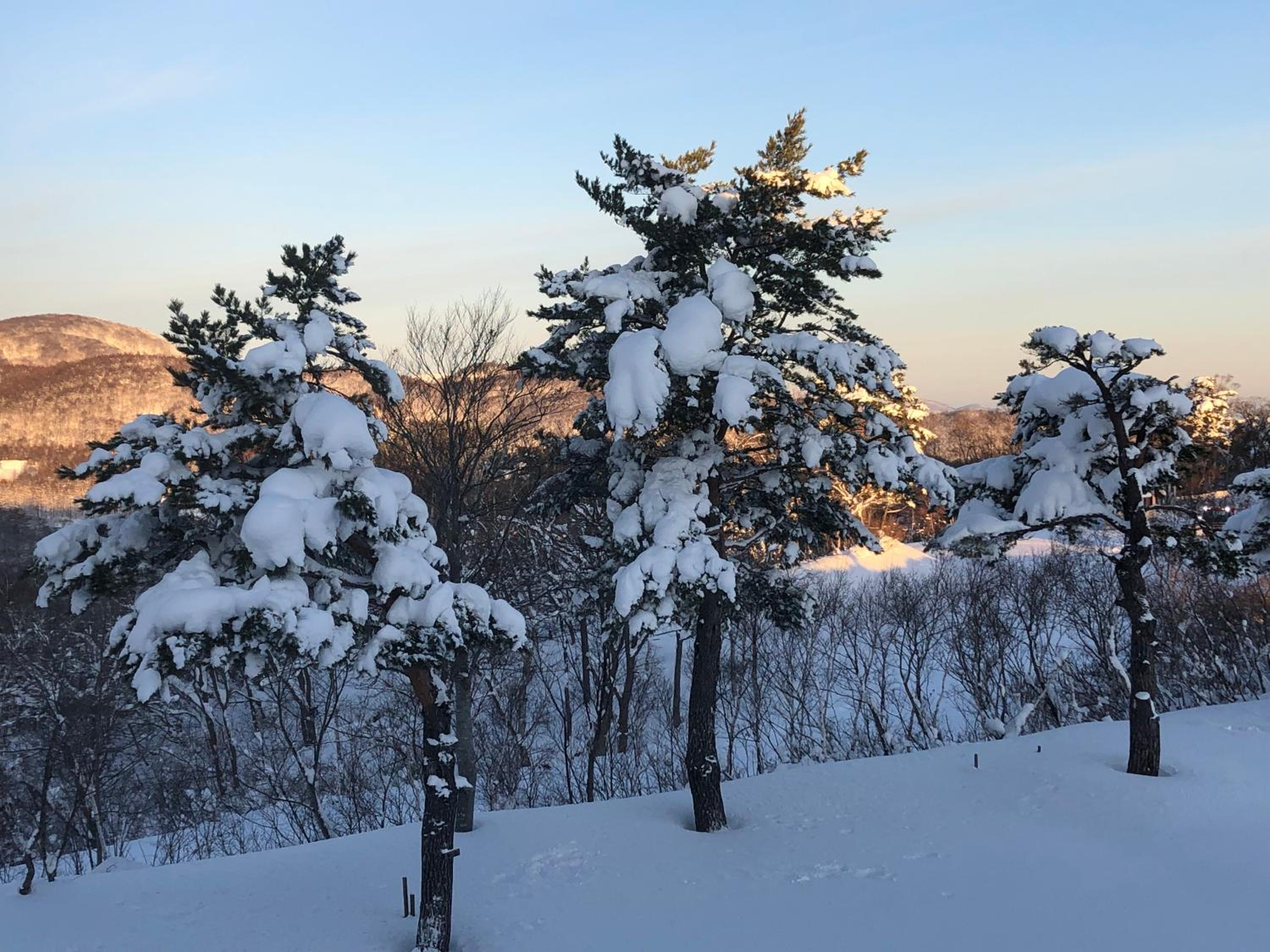 First Tracks Madarao