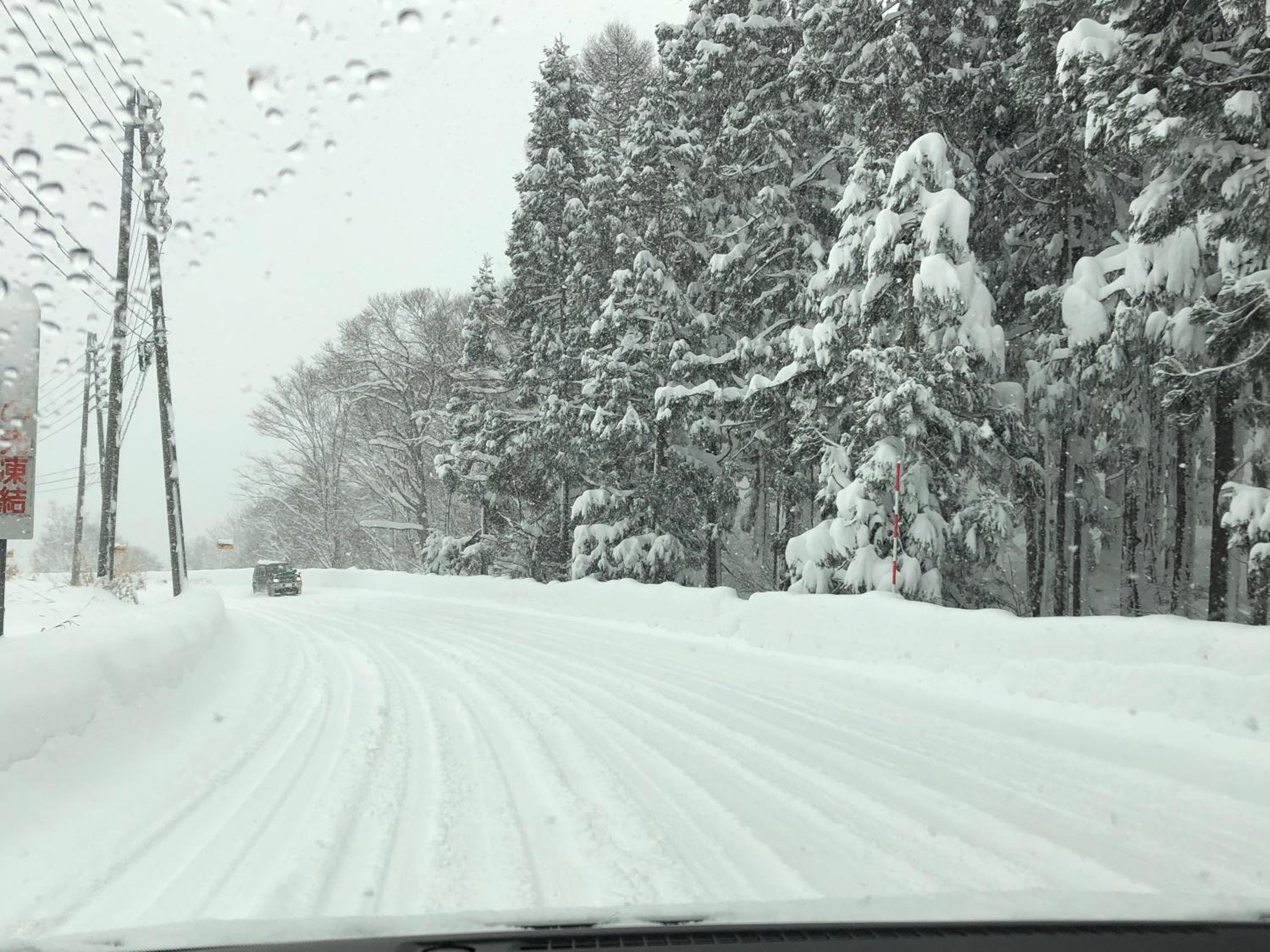 First Tracks Madarao