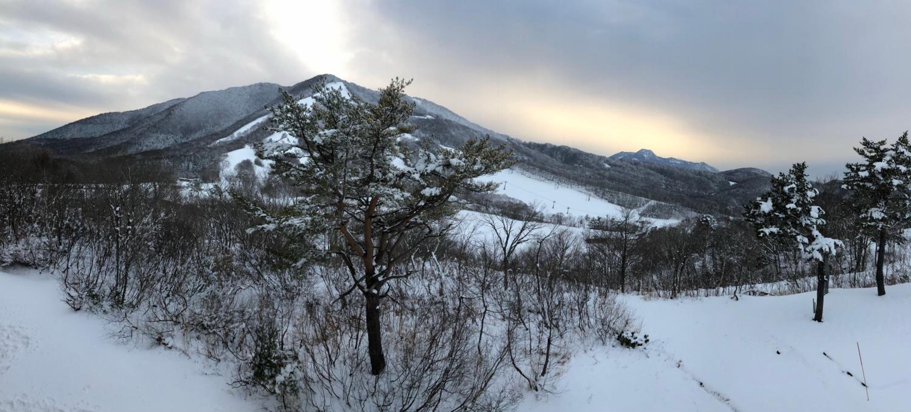 First Tracks Madarao