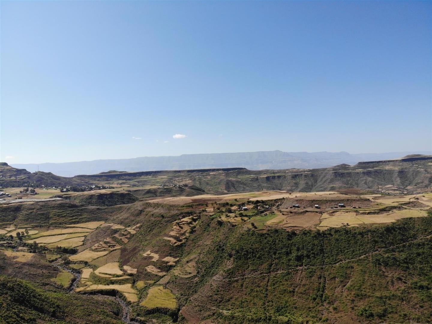 Sora Lodge Lalibela, photo 132