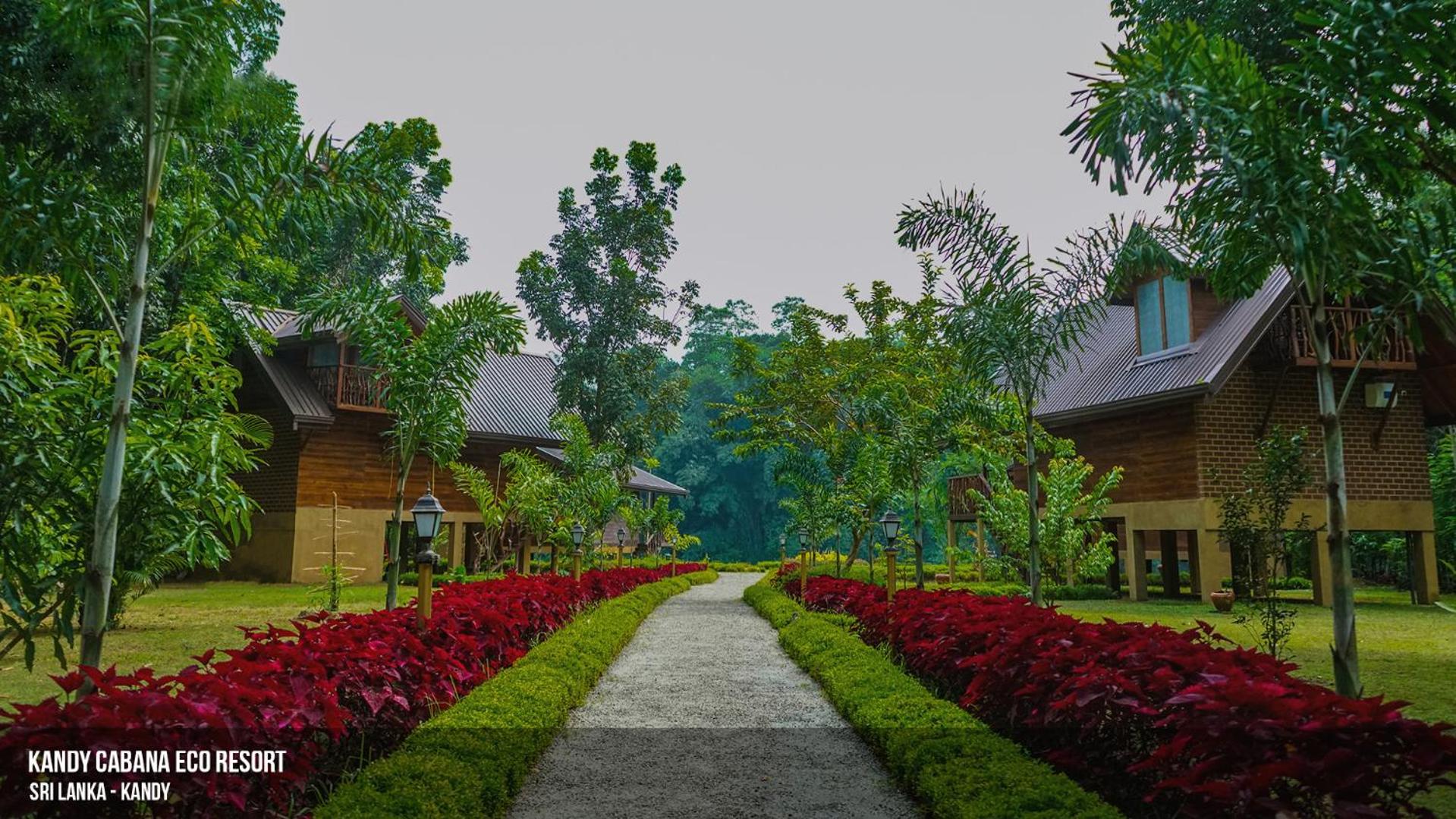 Kandy Cabana, photo 17