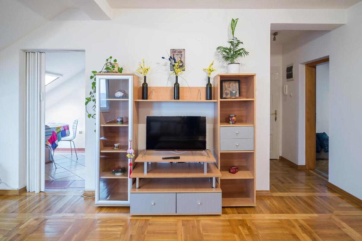 Penthouse in City Center view 4