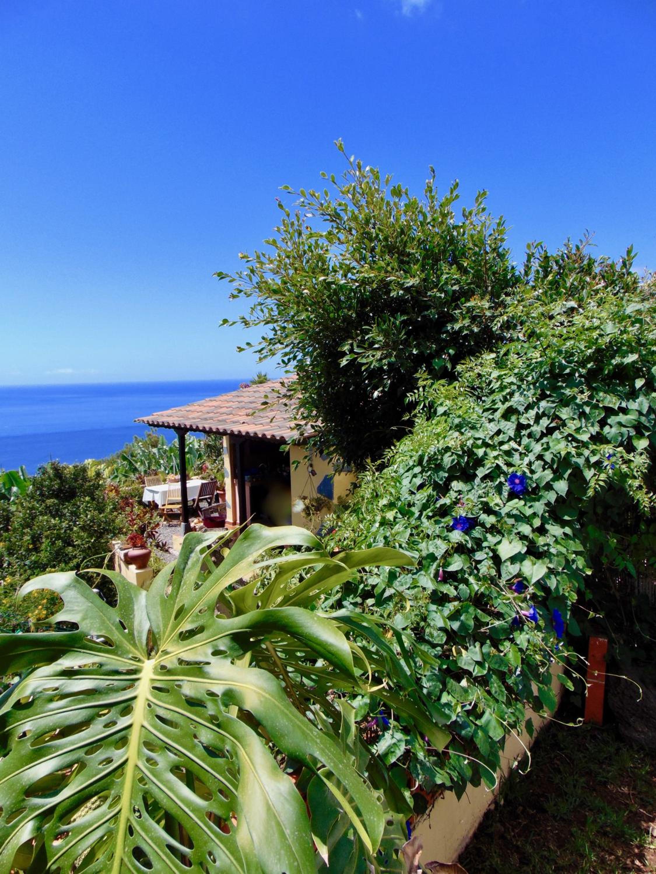Casa Rosa photo 1