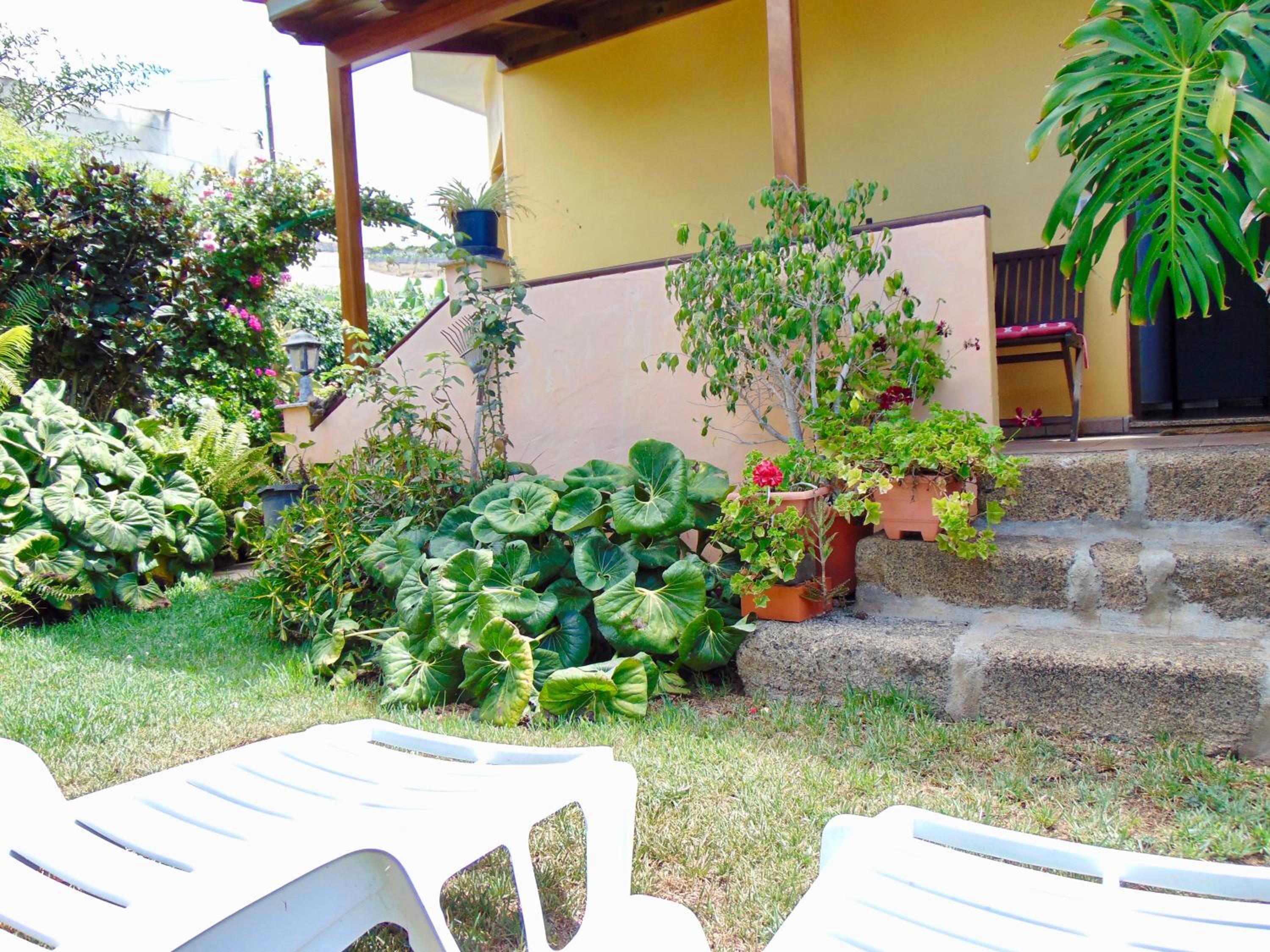 Casa Rosa photo 3
