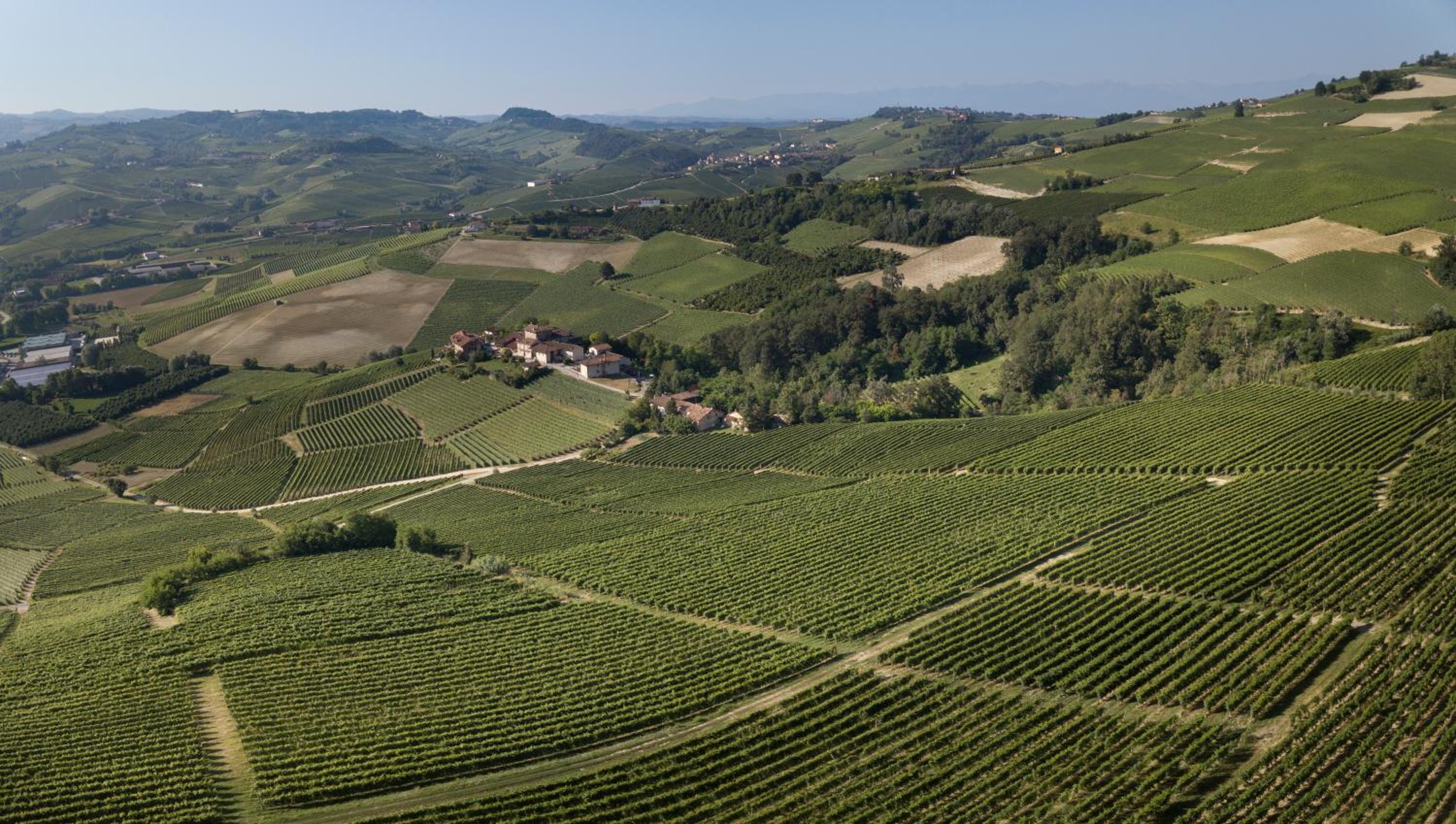 Rocche Costamagna Art Suites