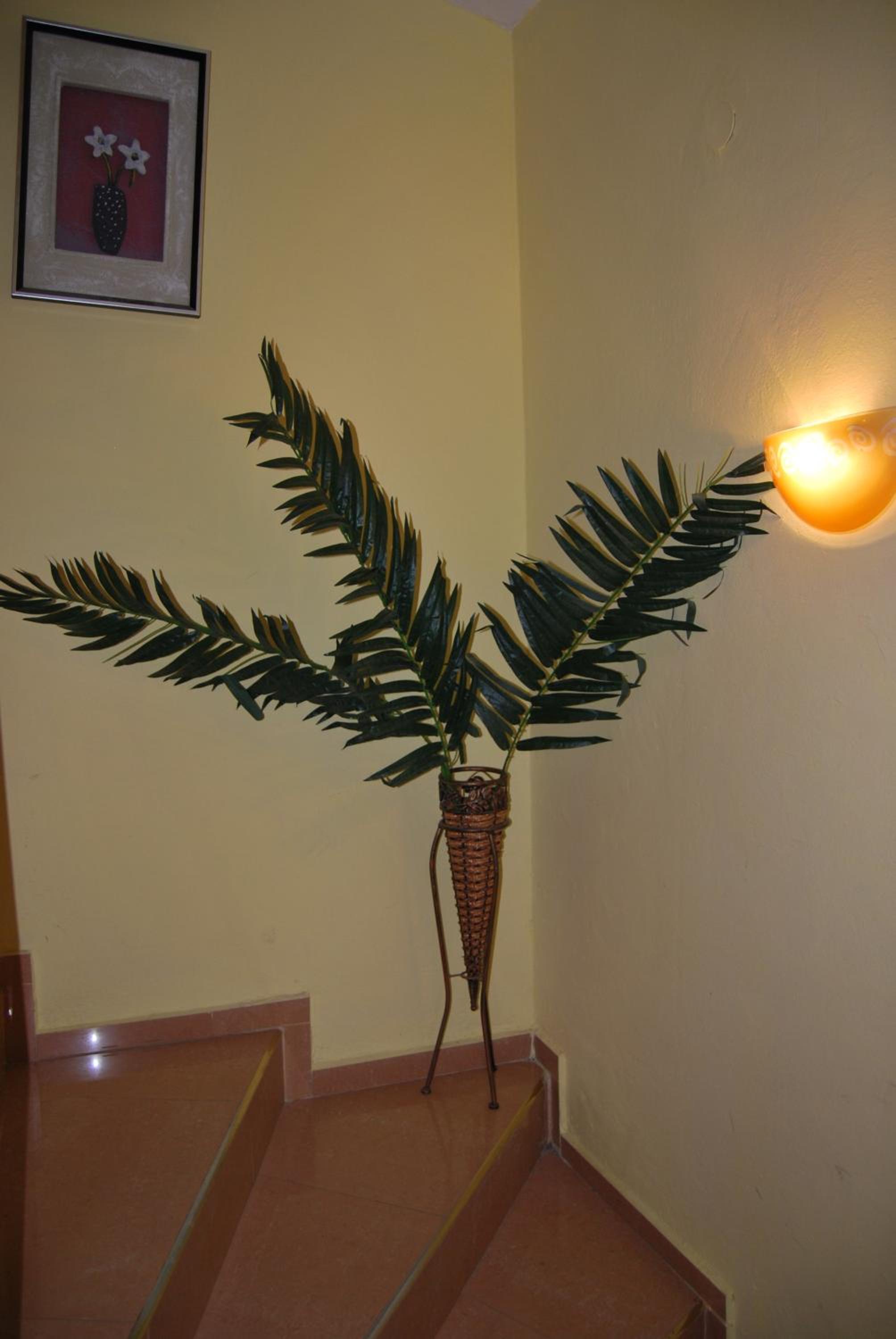 Photo 24