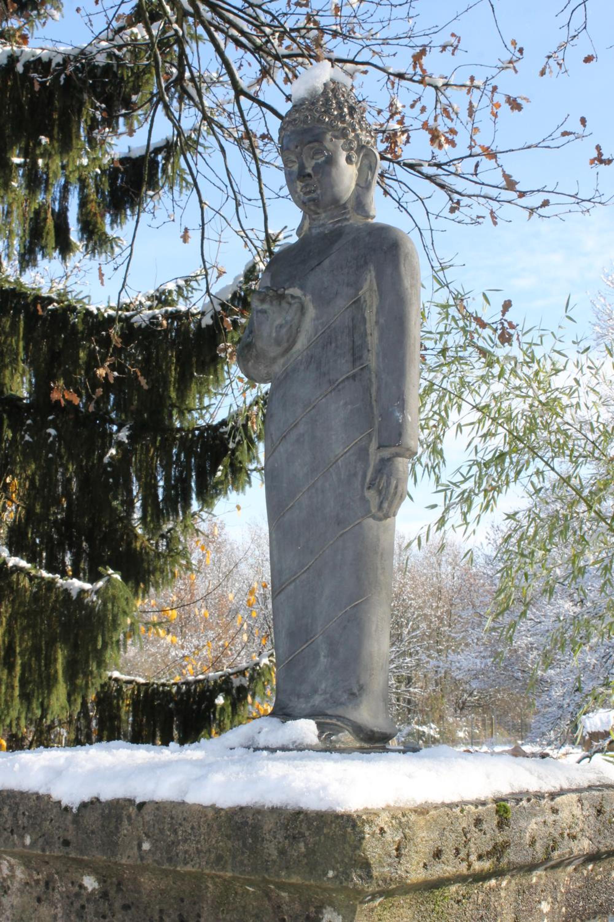 Photo 19