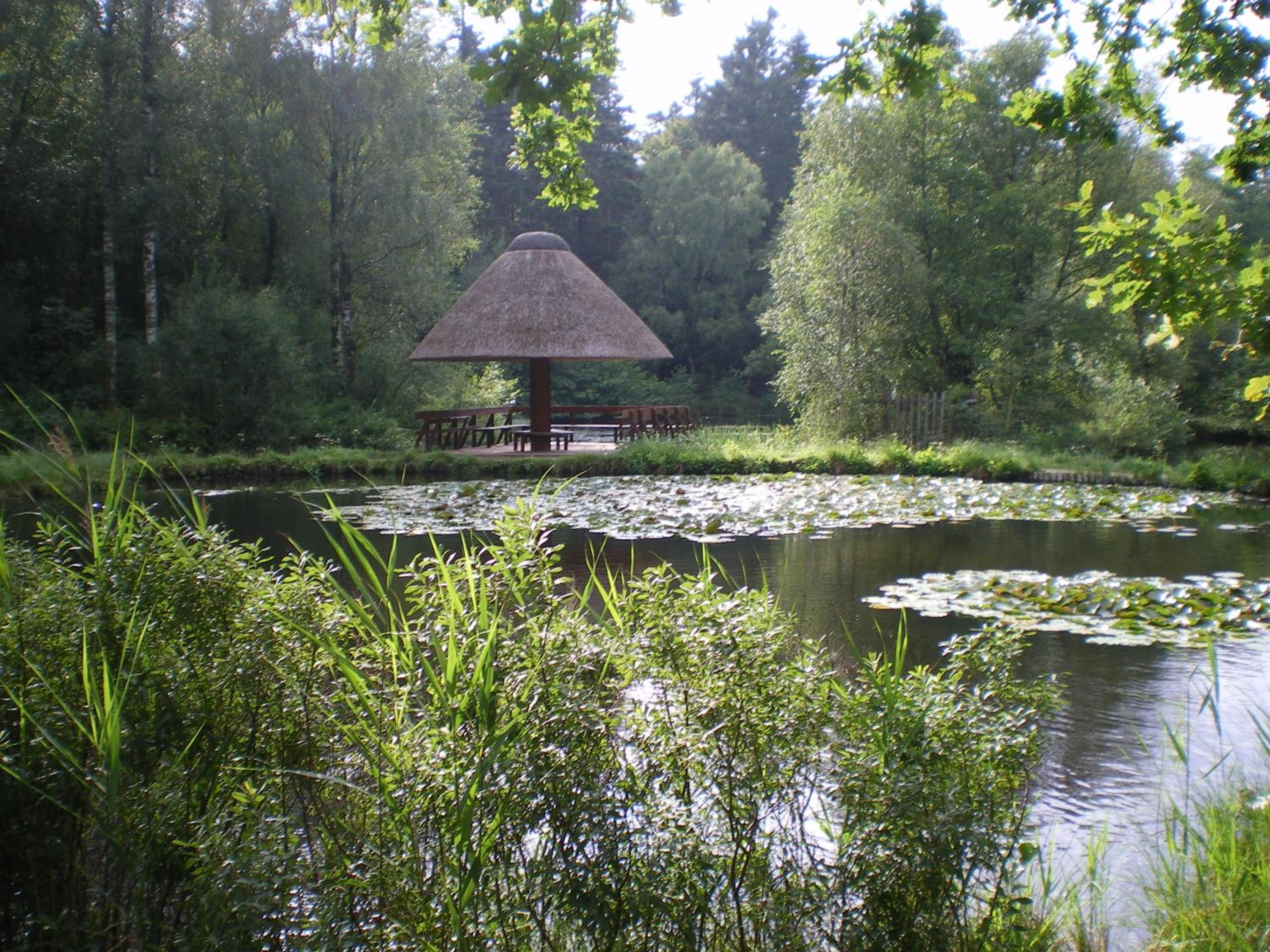 Photo 34