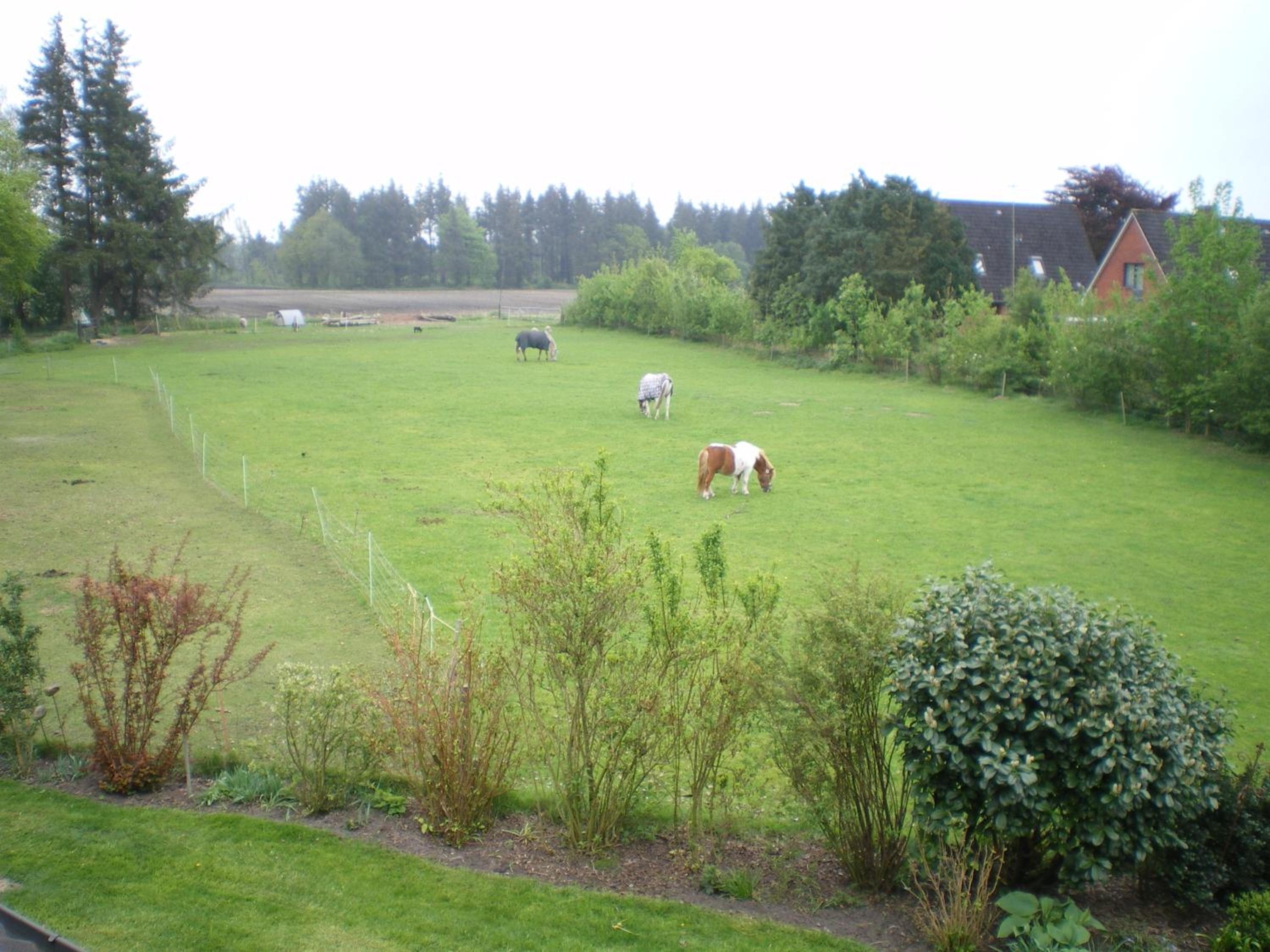 Photo 37
