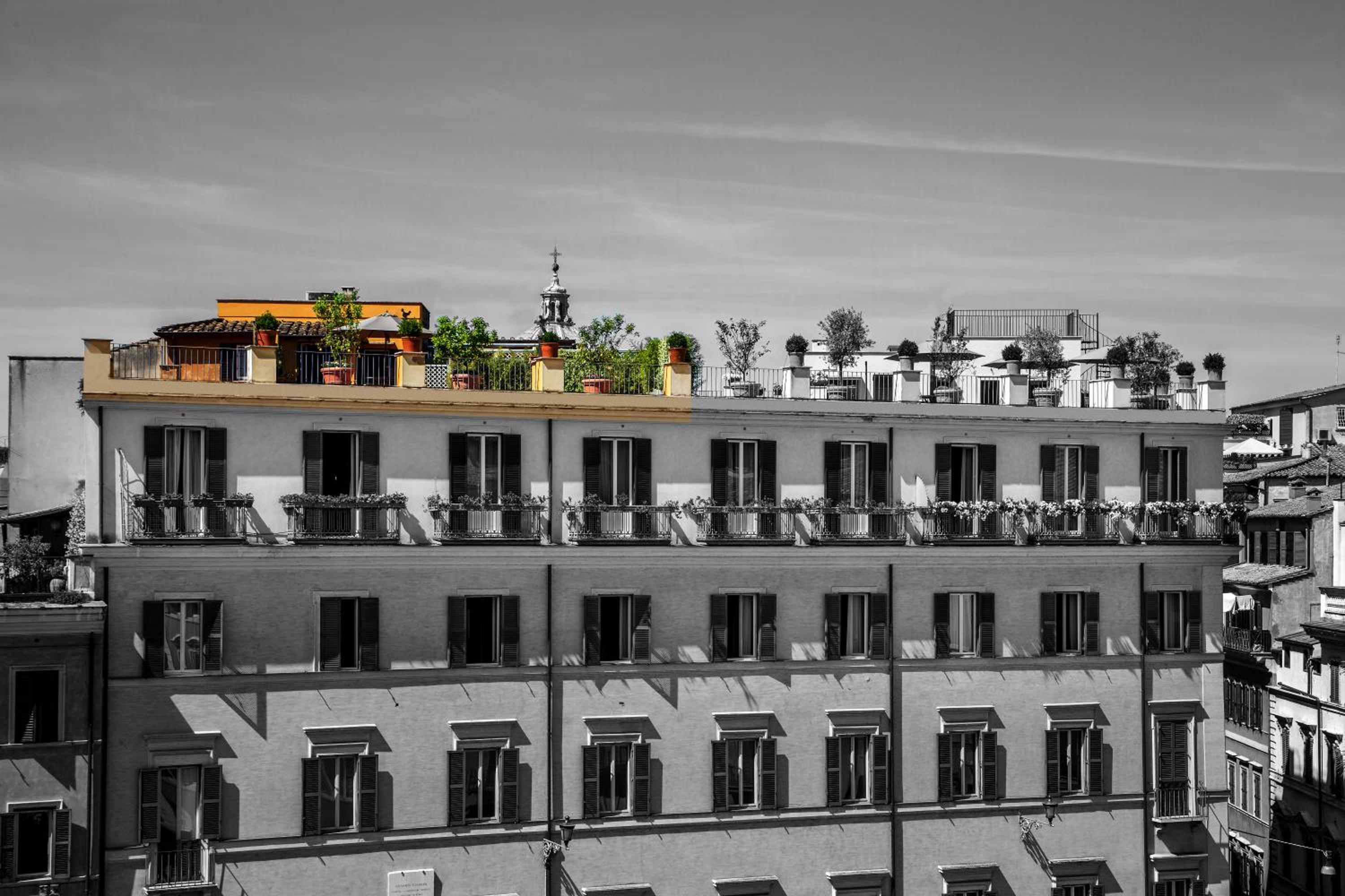 roof