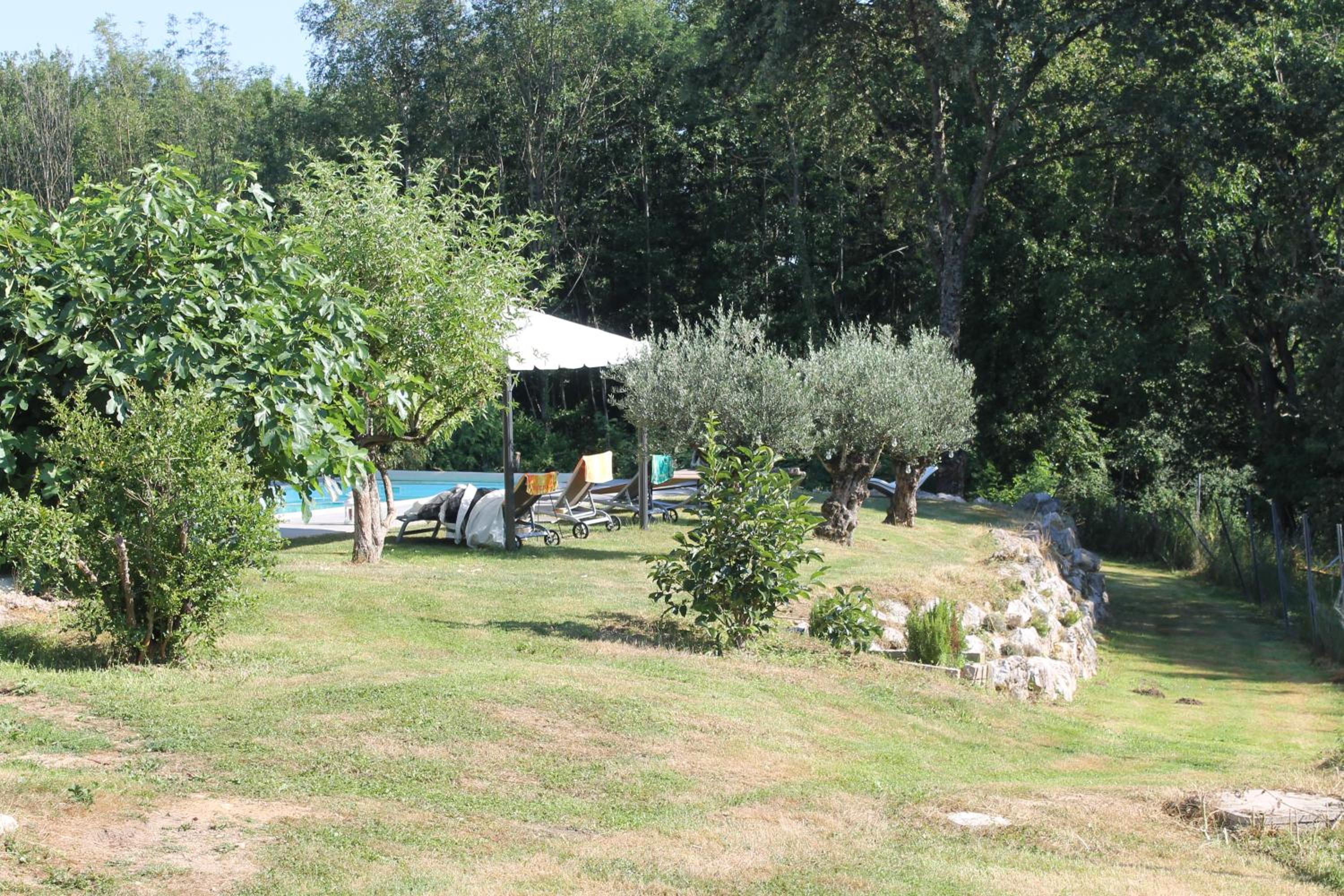 Photo 43