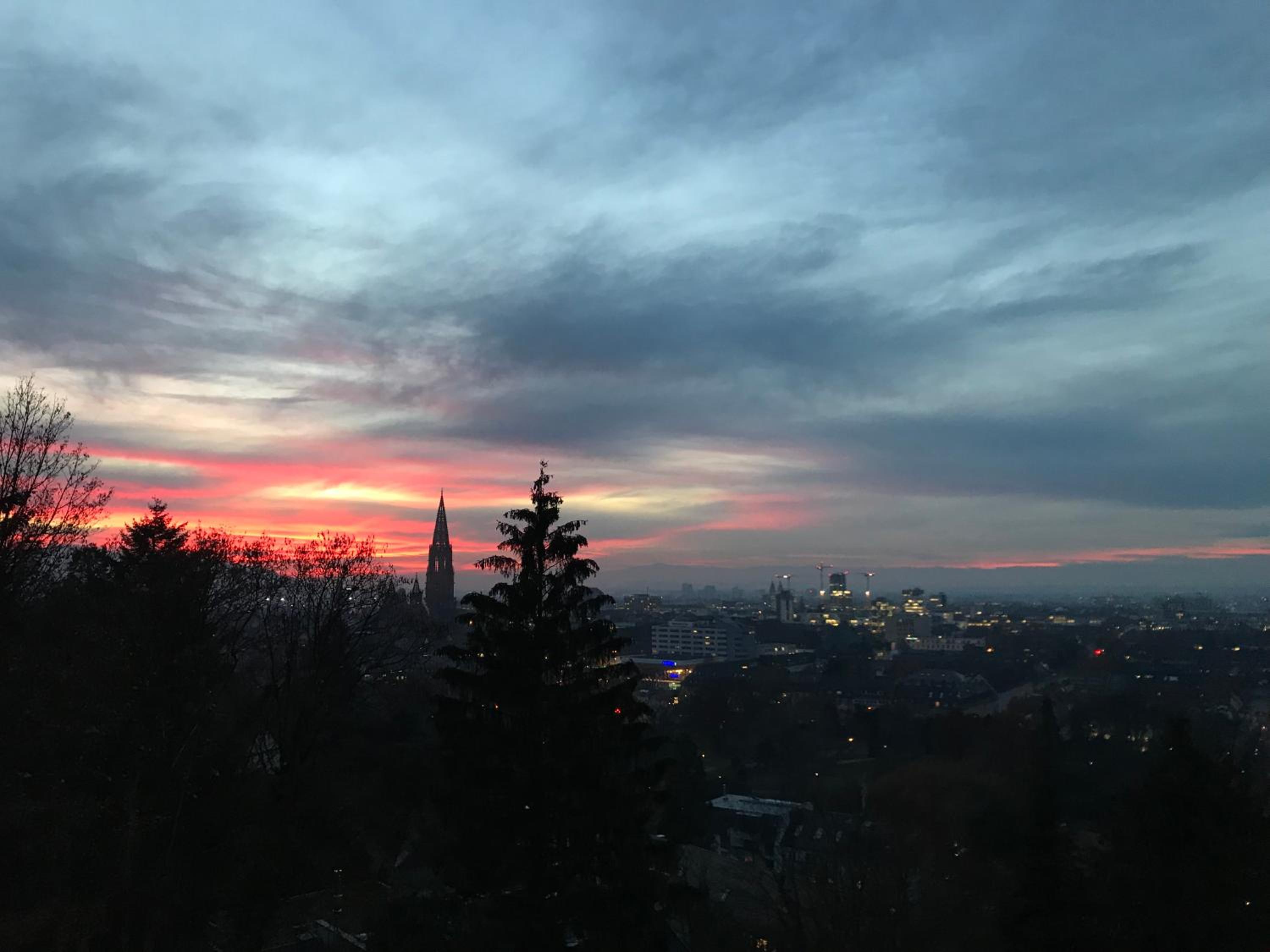Ferienwohnung-Freiburg-Exklusiv