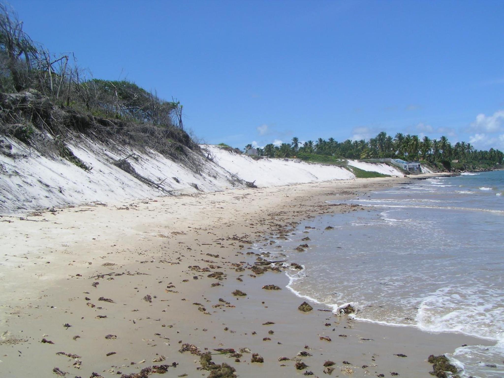 Casa 5 quartos em praia tranquila (Aver-o-mar)