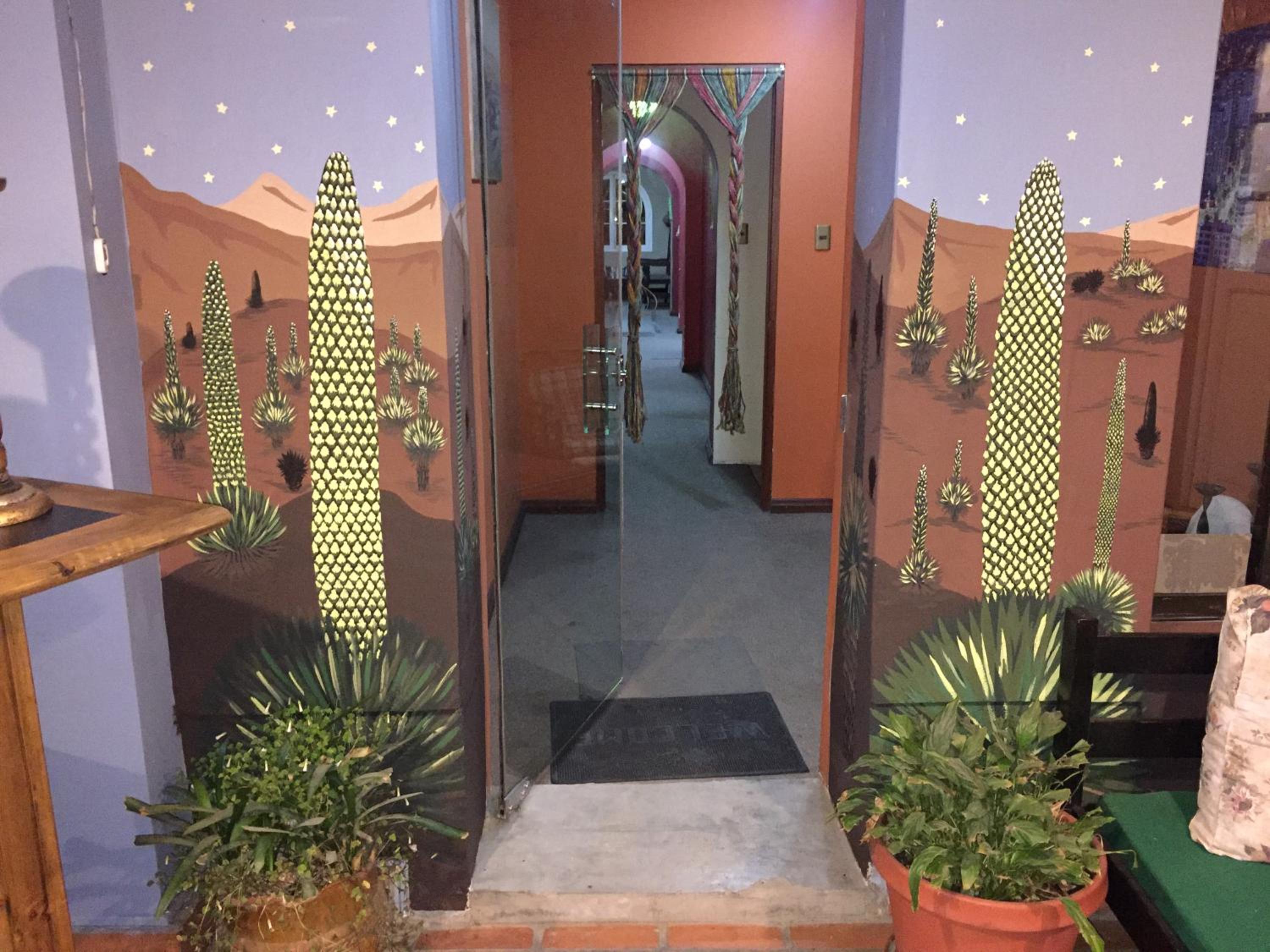 Greenhouse Bolivia