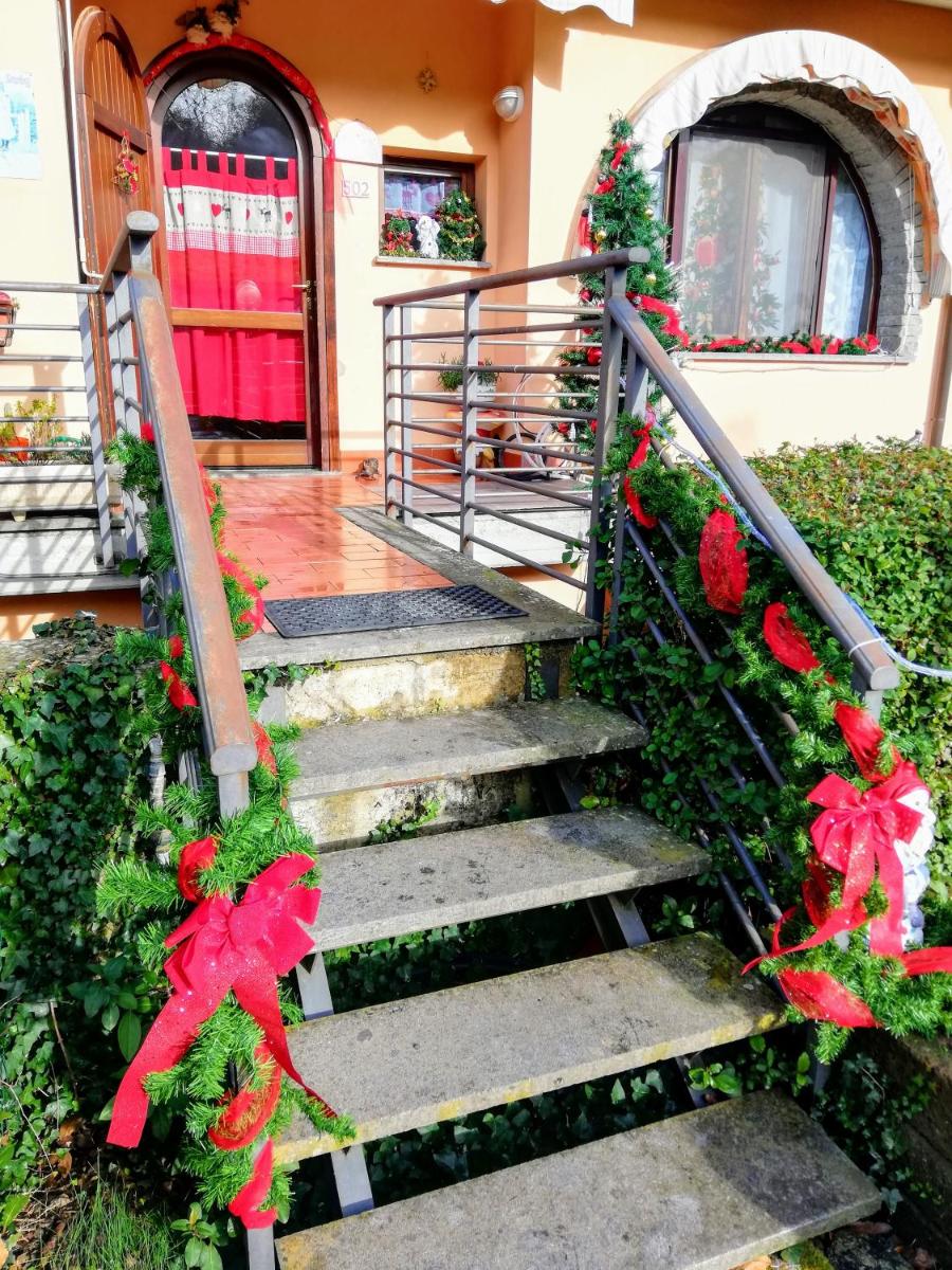 Photo 41