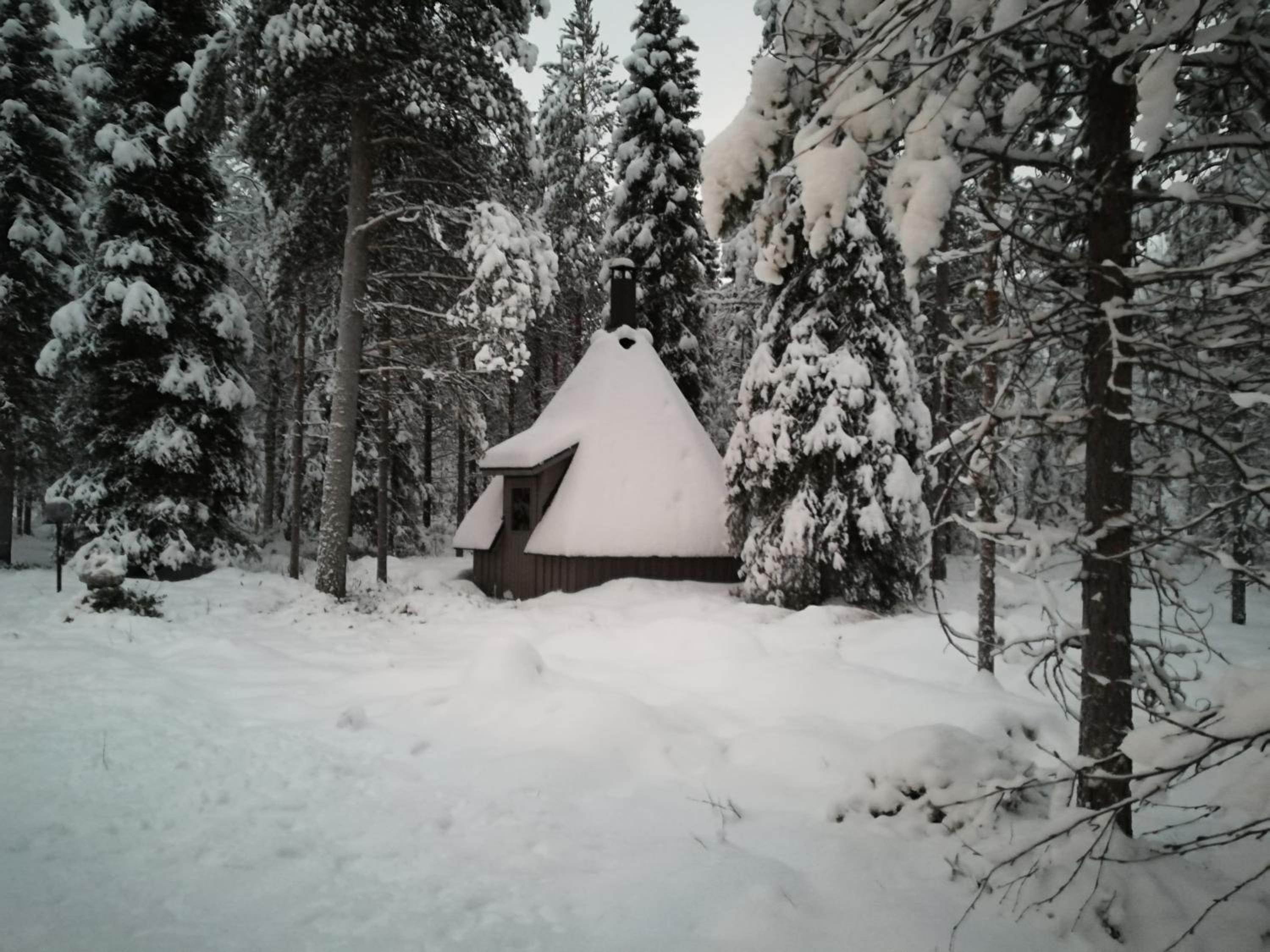 Photo 44