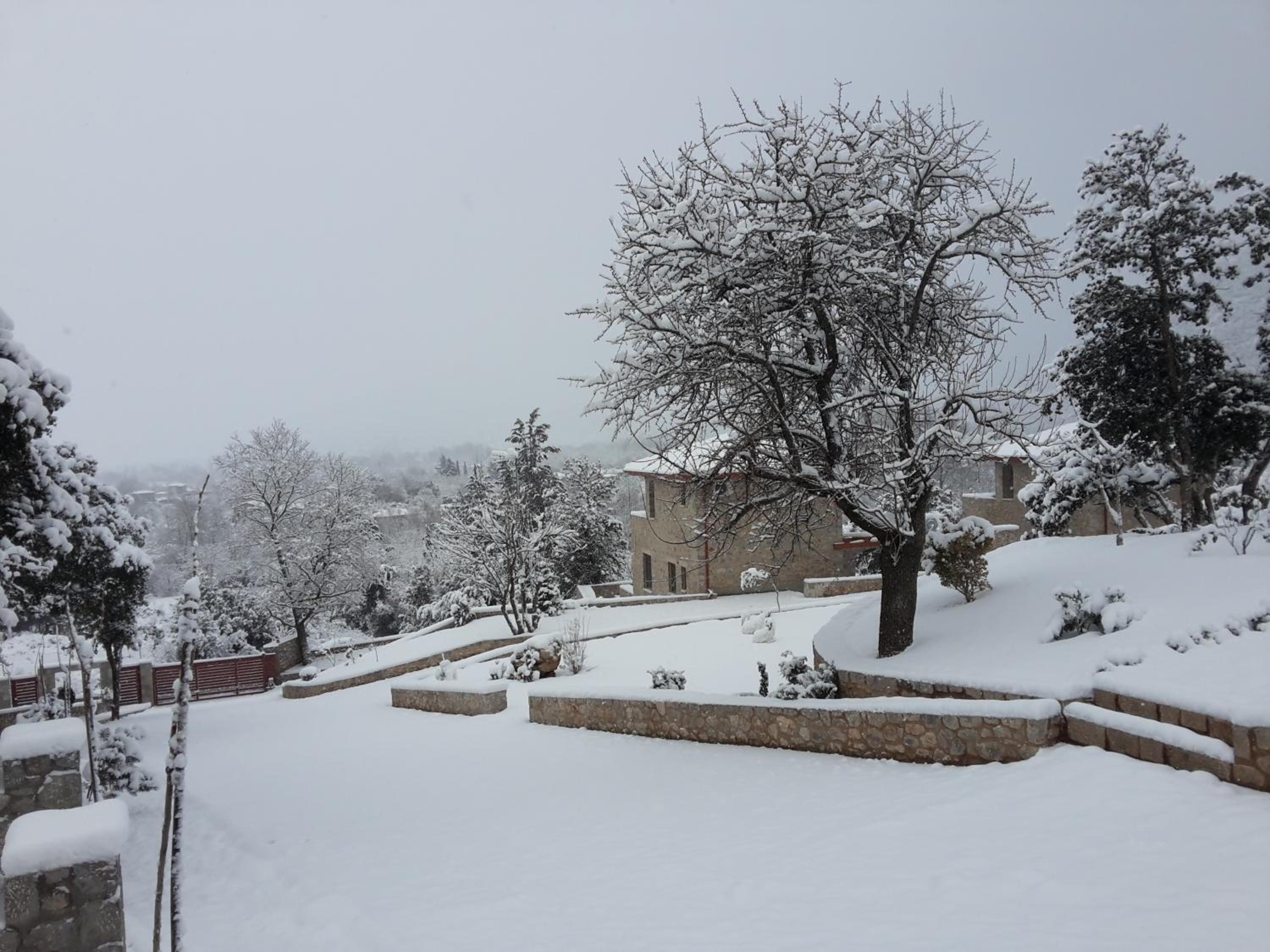 Lilea Chalet - Property Image 50