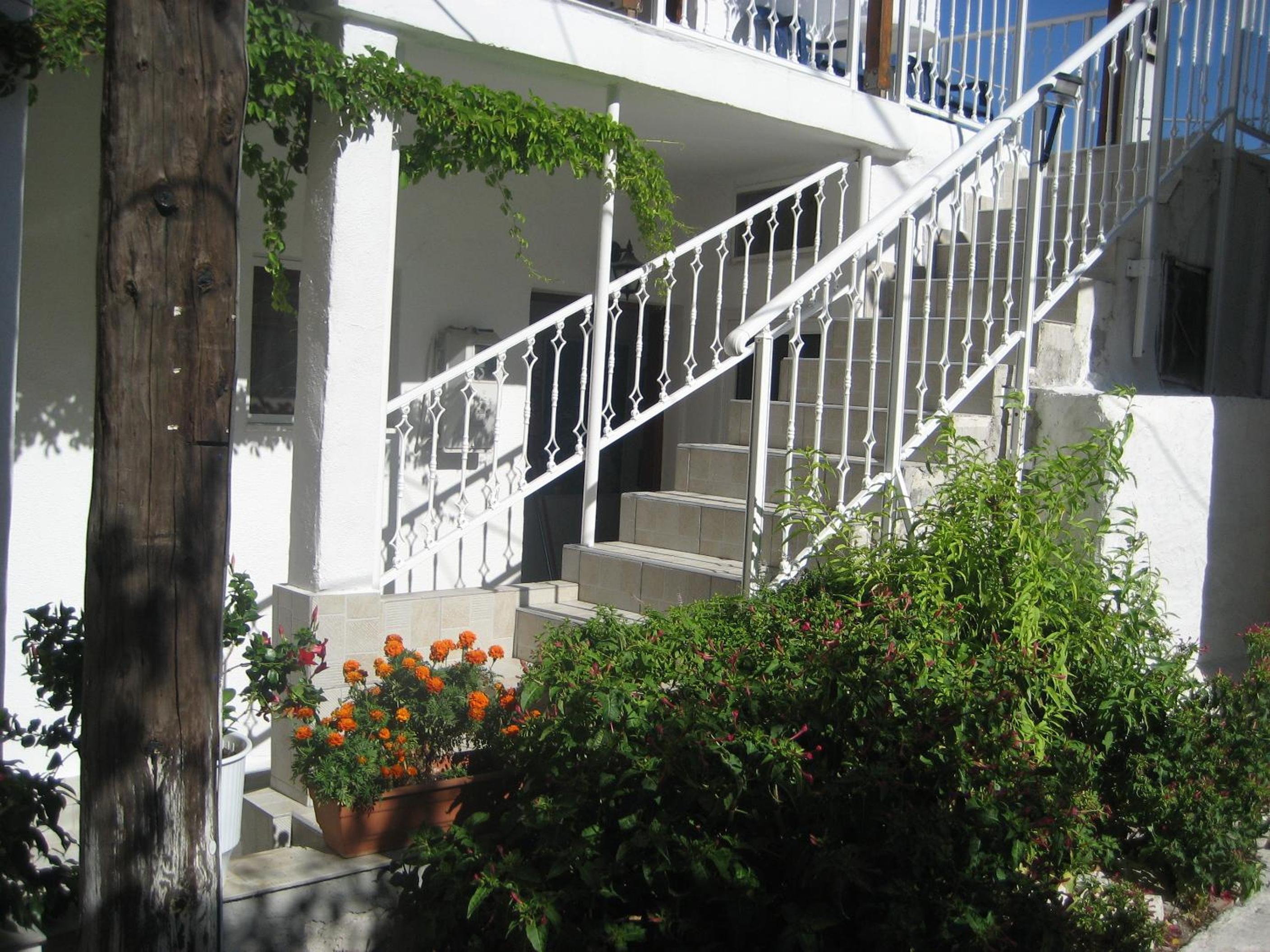 Hotel Kamelia - Image 1