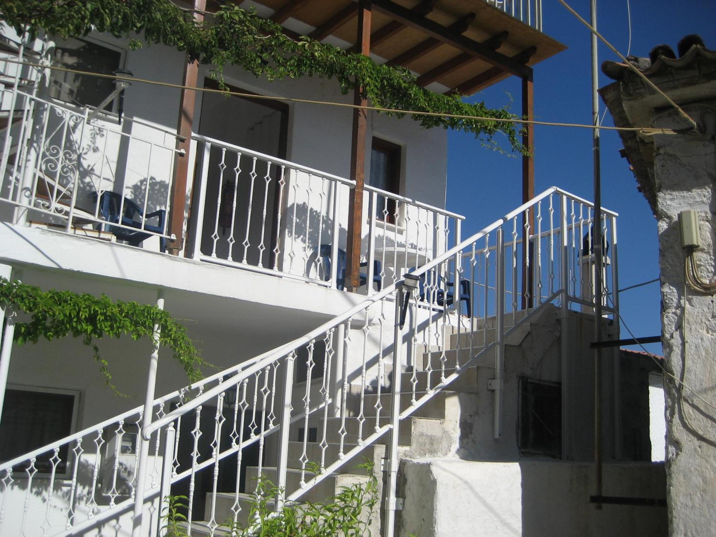 Kamelia view 3