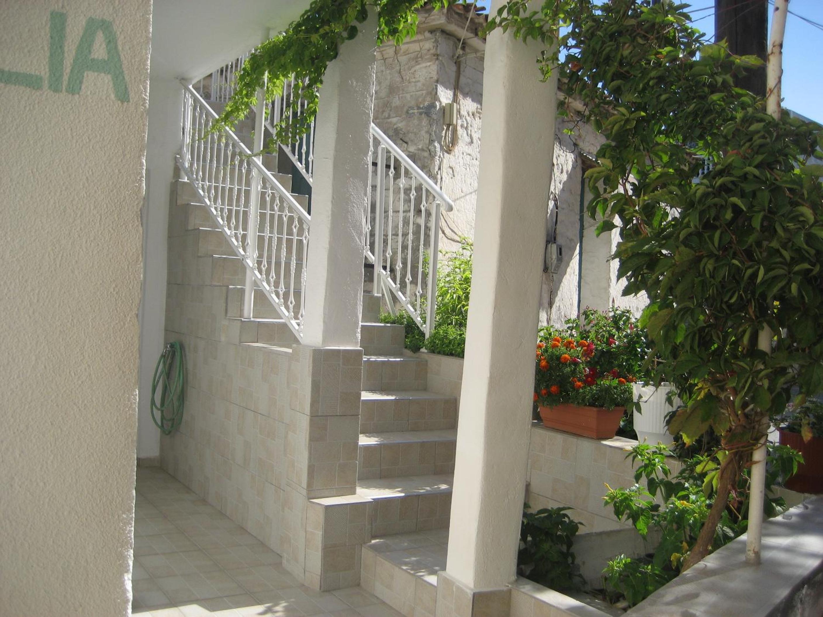Kamelia view 4