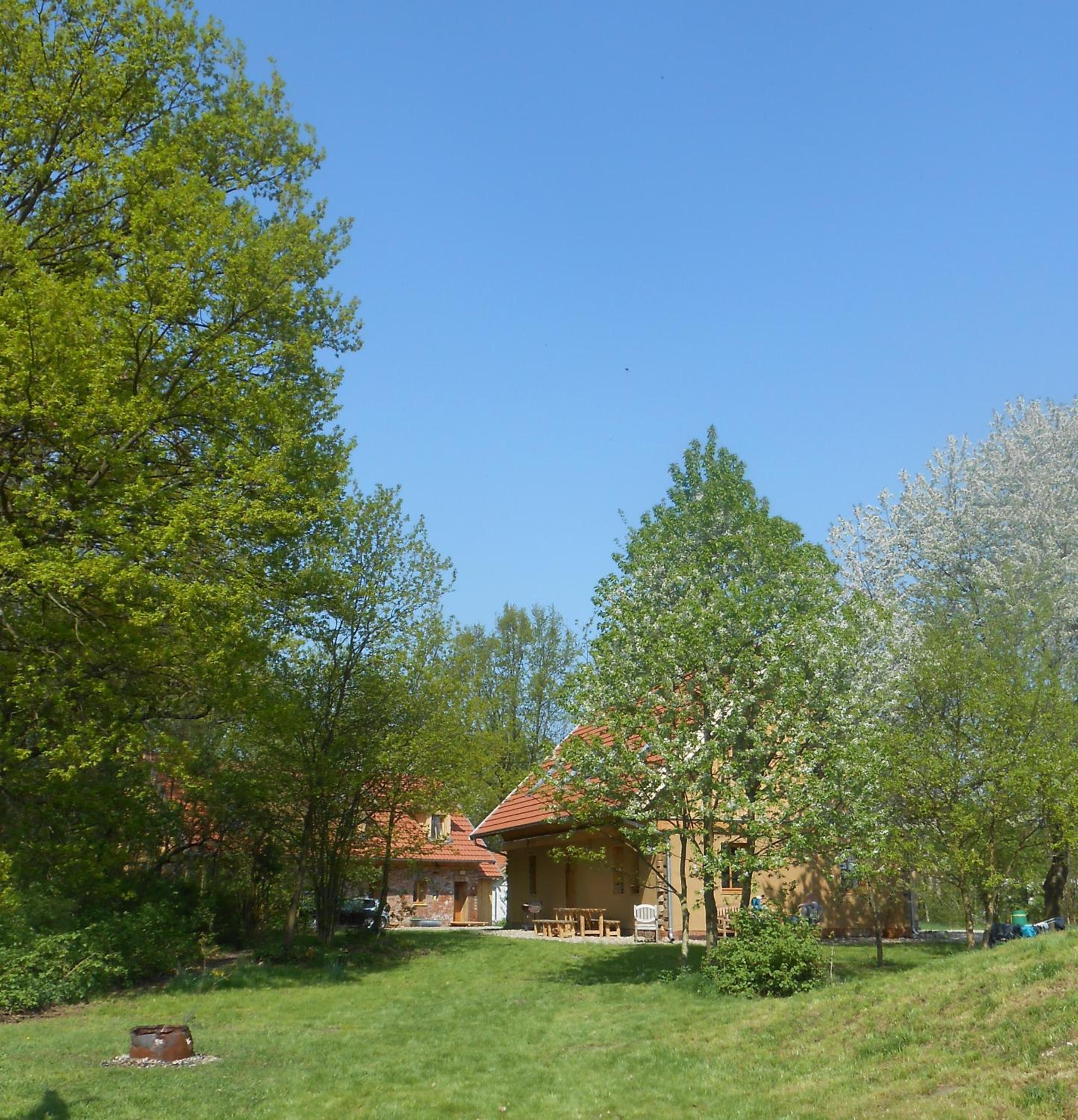 Photo 44