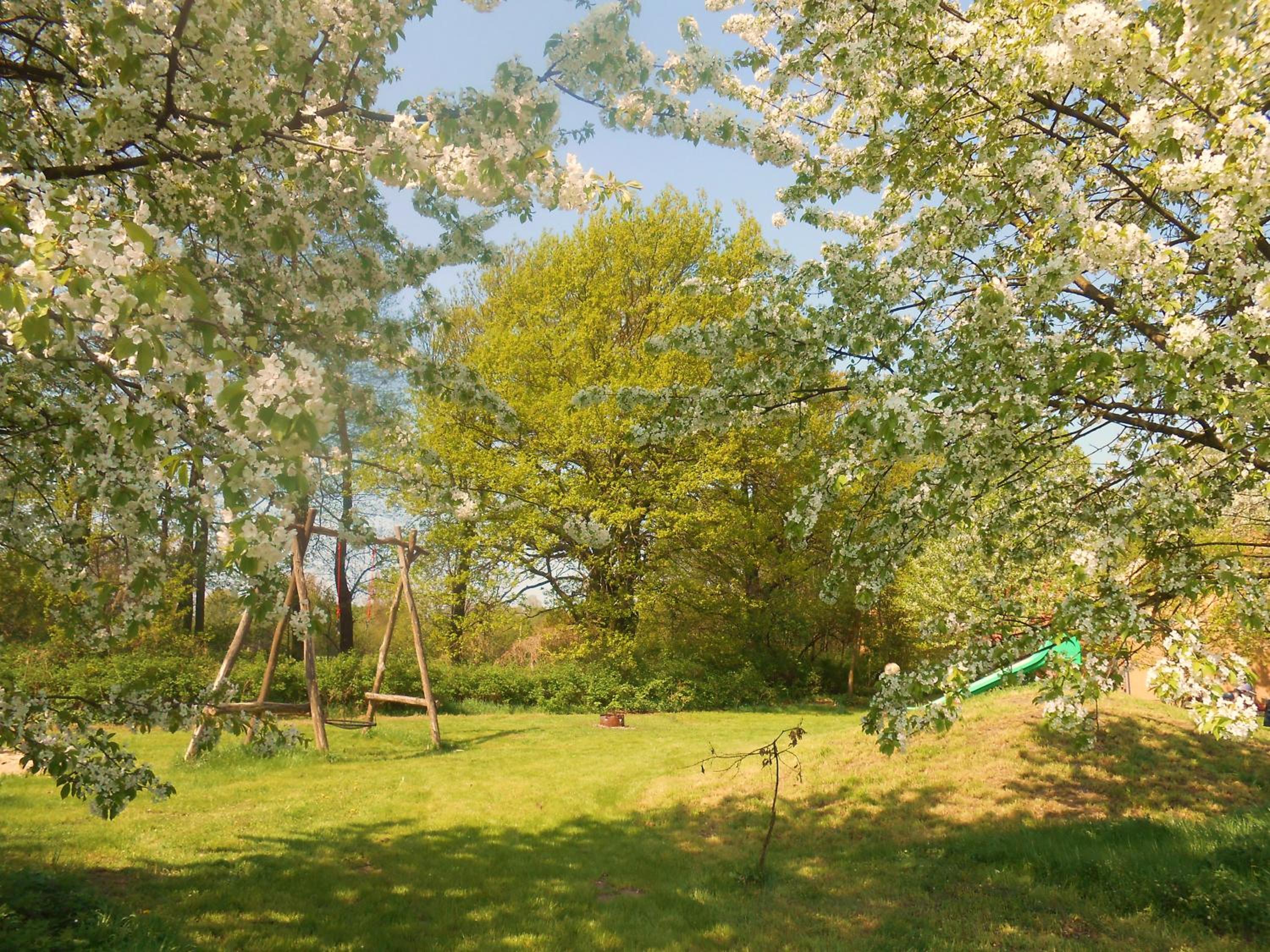 Photo 40