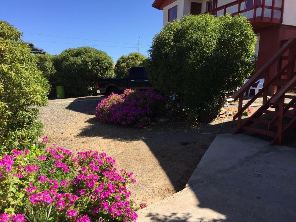 Cabaña Pichidangui