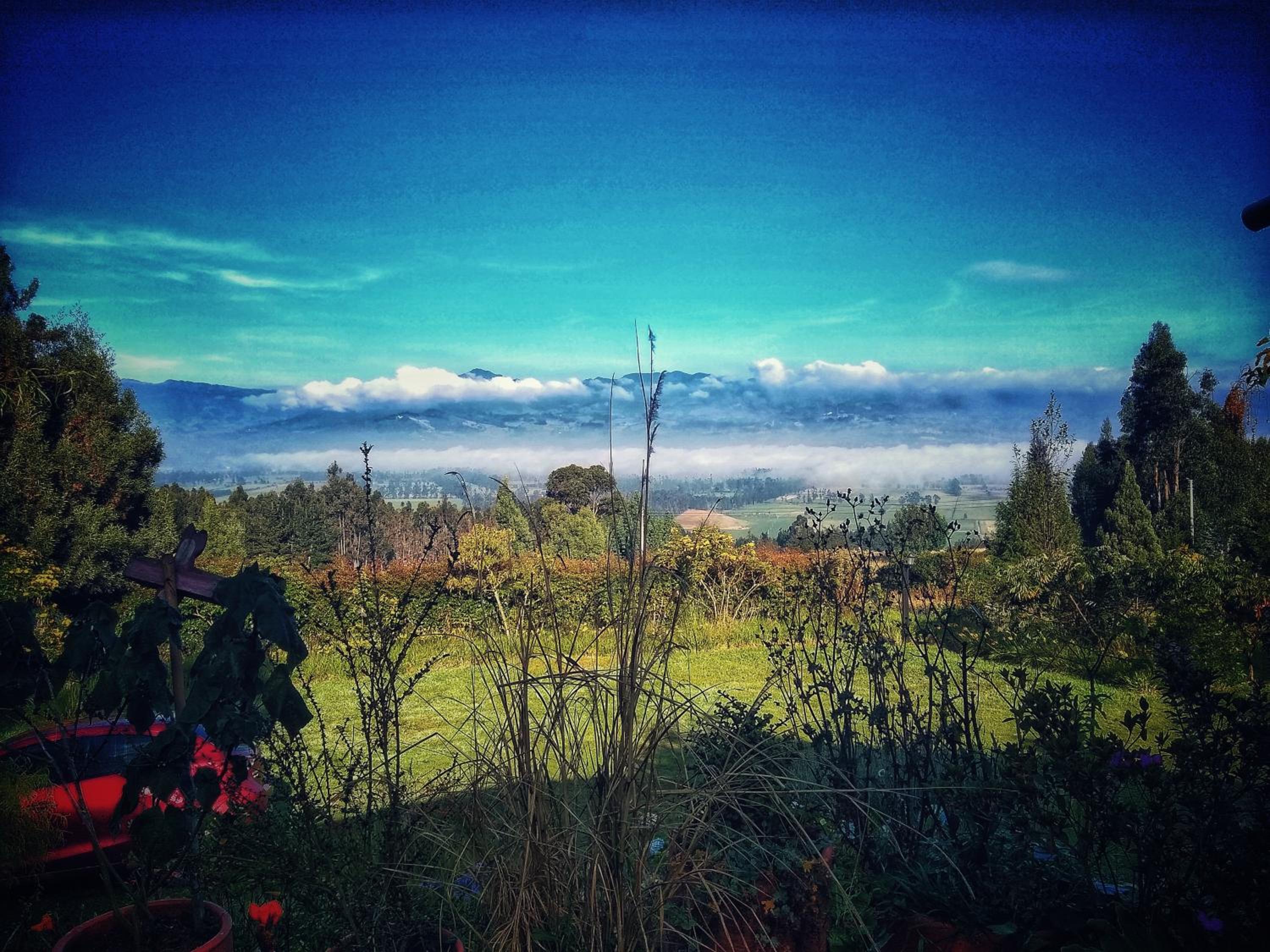 Finca Agrreste