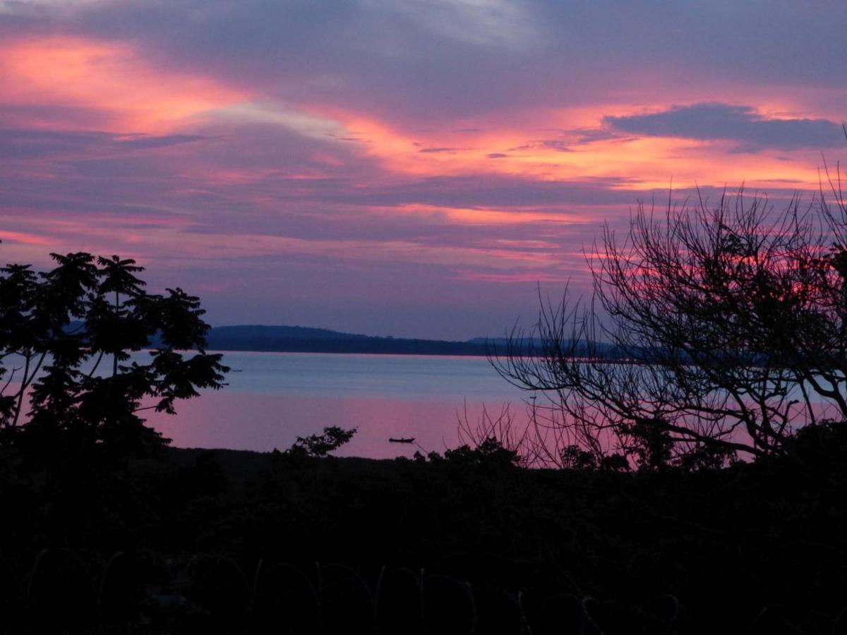 BlueMonkey Guesthouse view 3