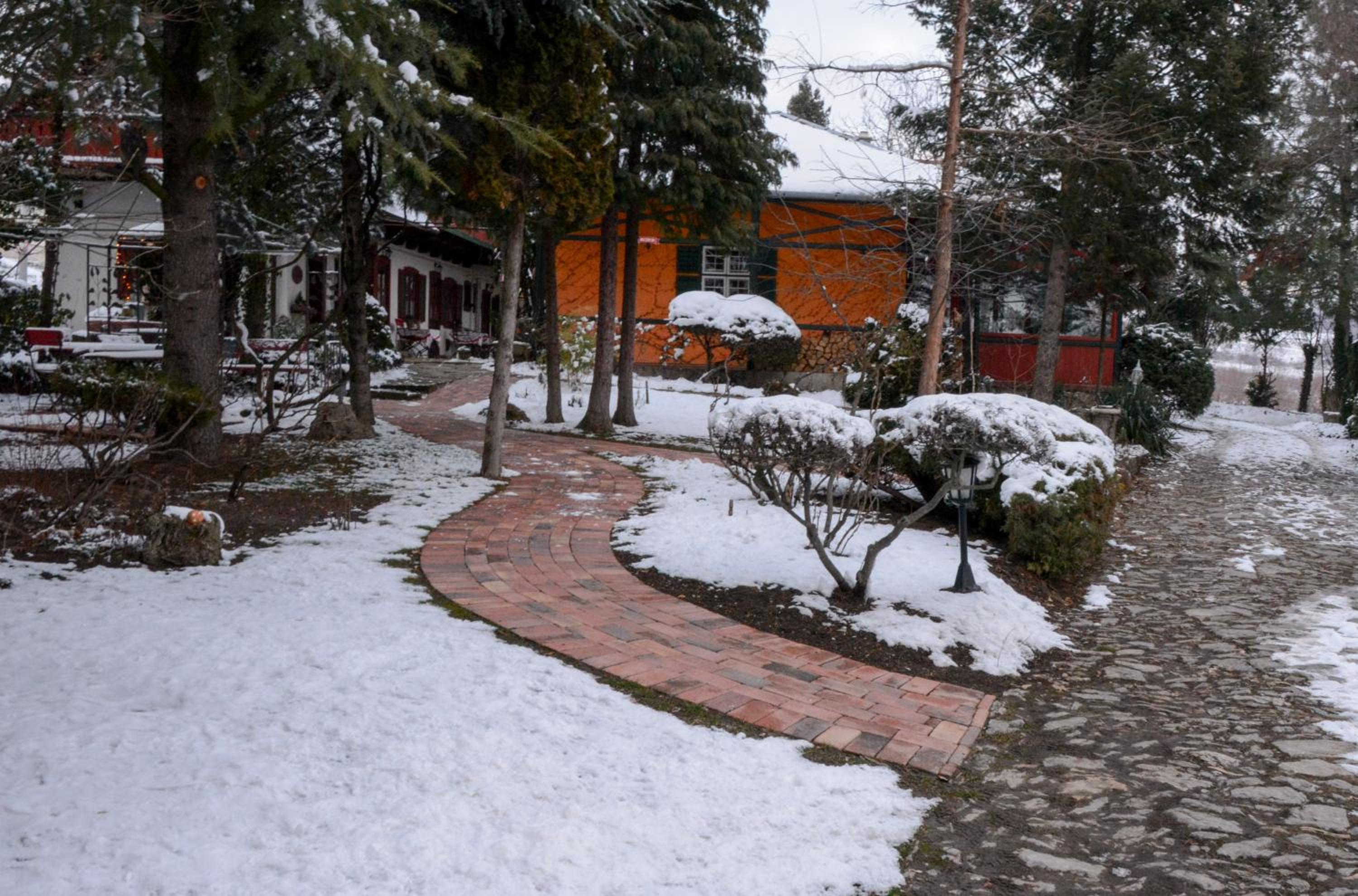 Photo 6