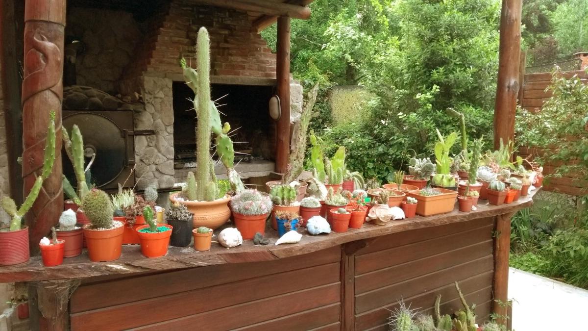 outdoor BBQ area