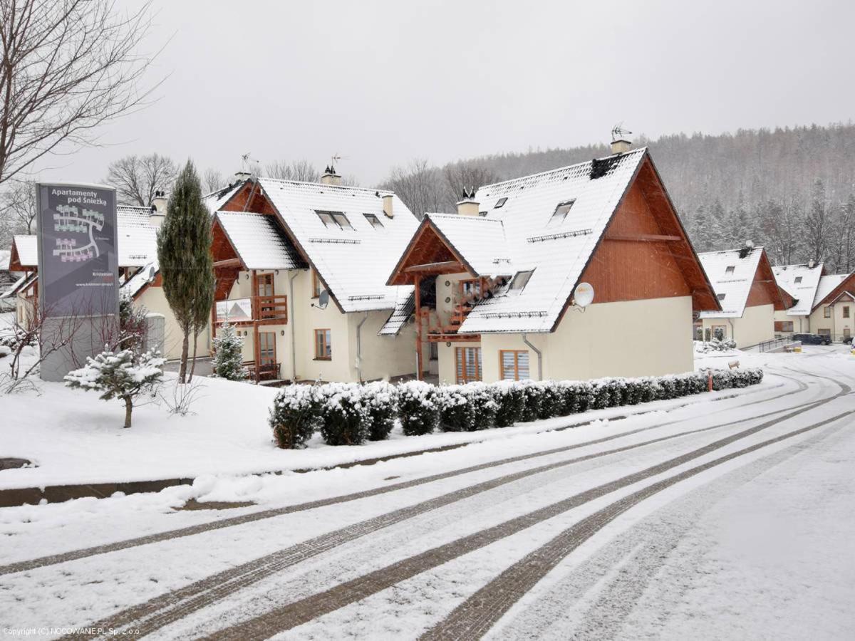 Domek Karpatka 2 przy wyciągu narciarskim 4 pokoje dwie łazinki view 3