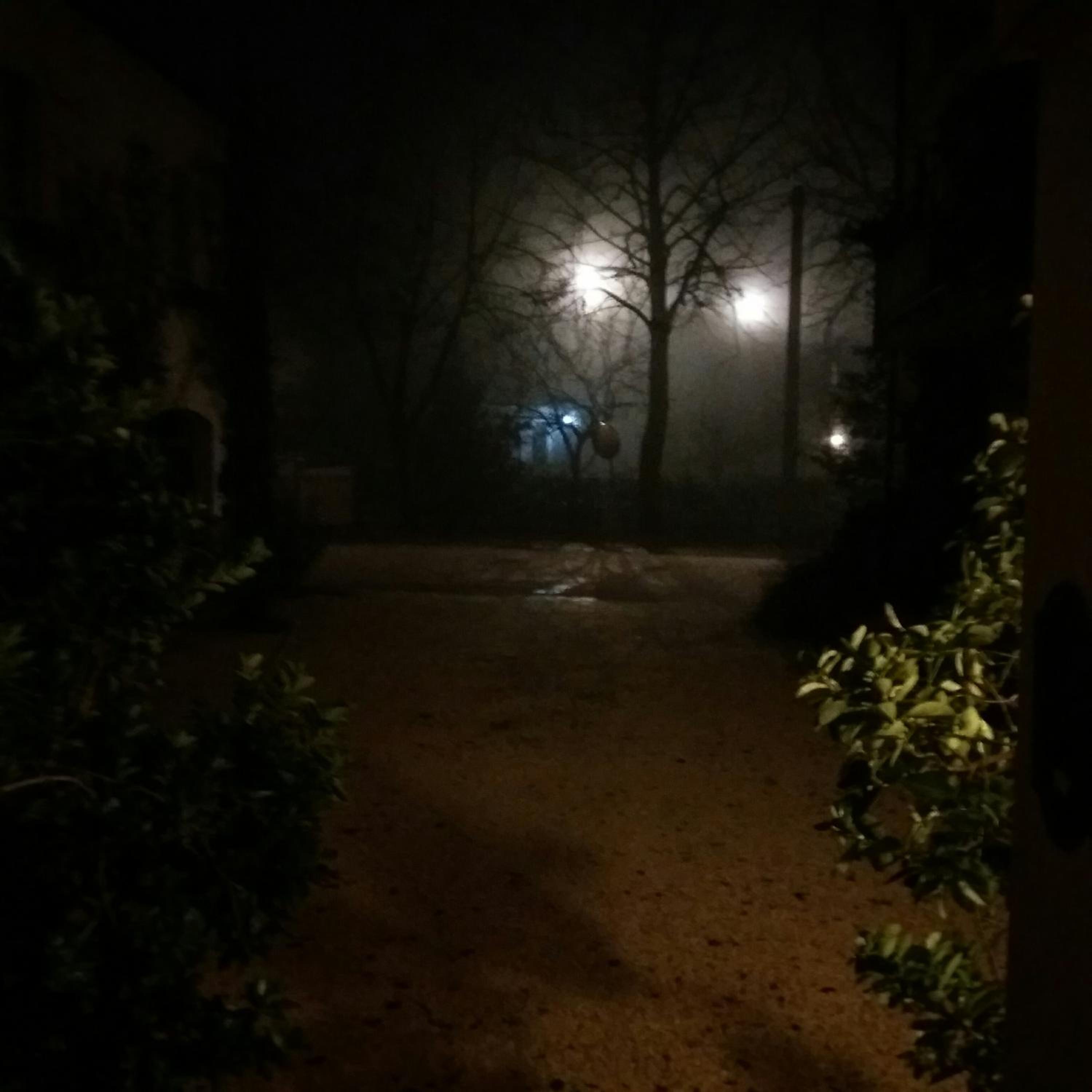 Photo 36
