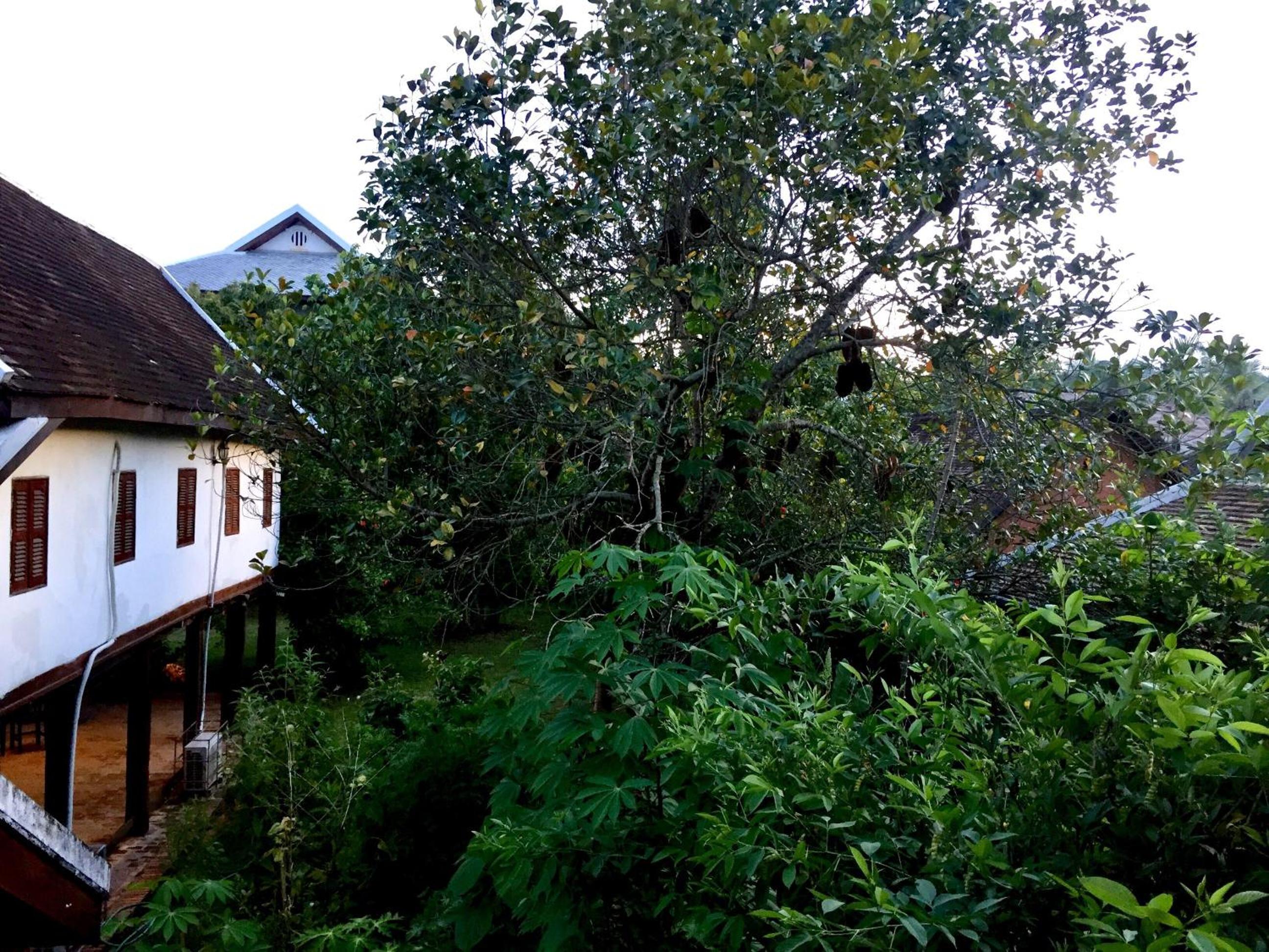 Soutikone1 Guesthouse
