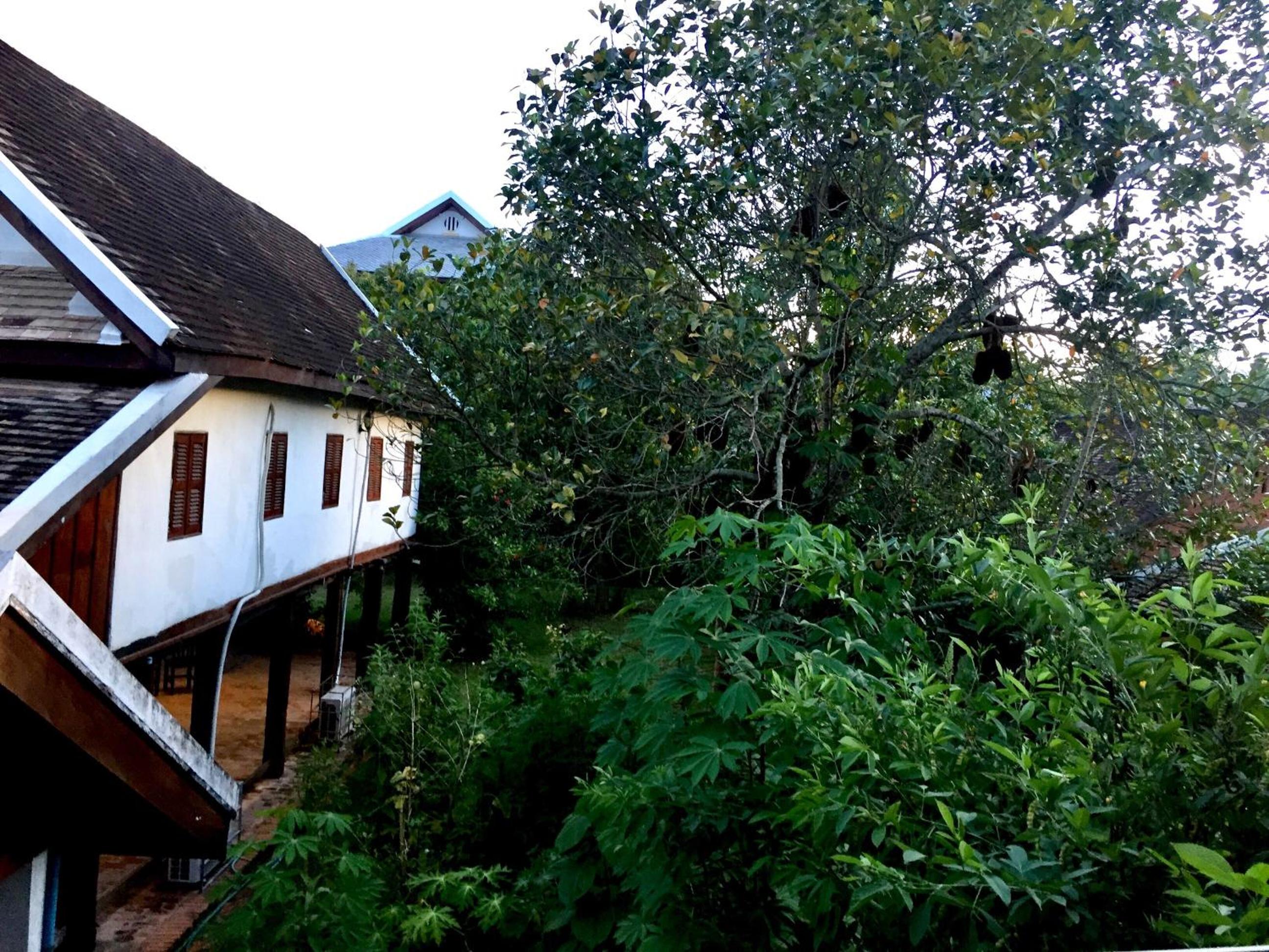 Soutikone1 Guesthouse