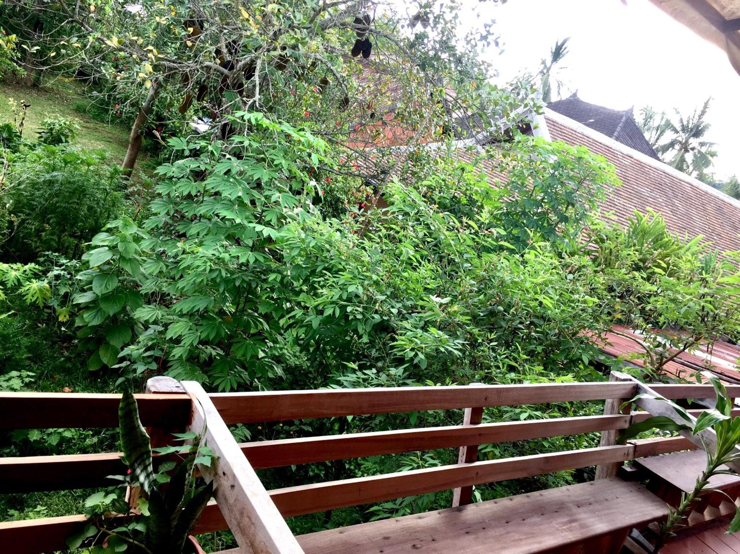 Soutikone1 Guesthouse