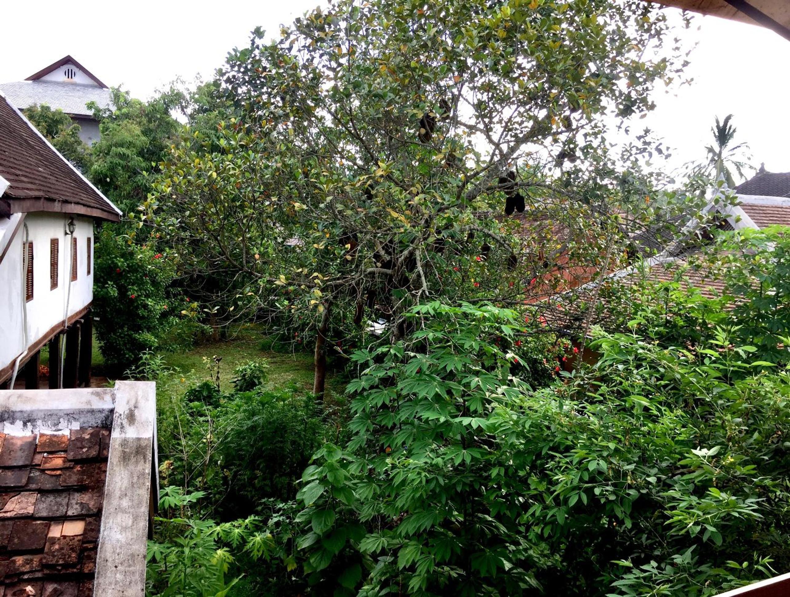 Soutikone1 Guesthouse