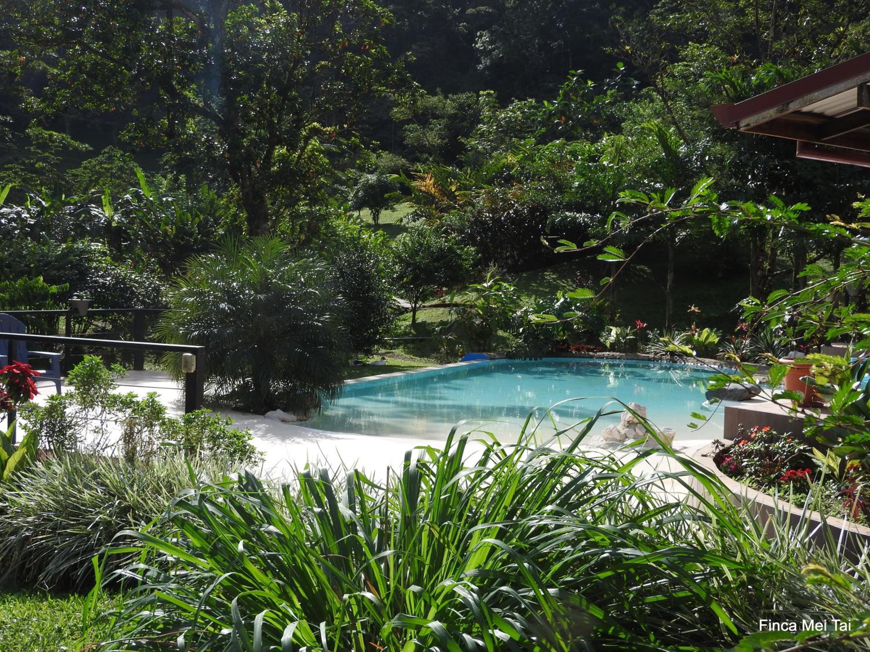Mei Tai Cacao Lodge