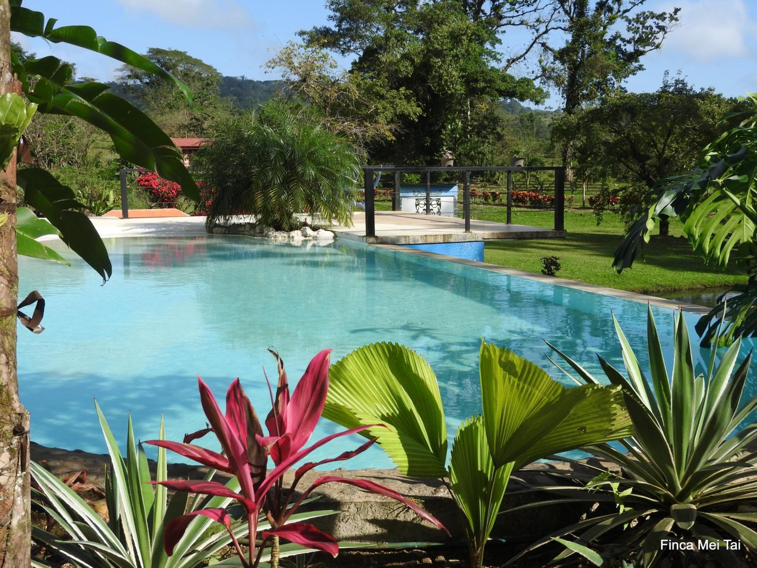 Mei Tai Cacao Lodge