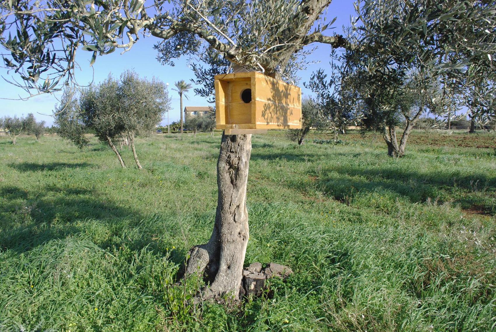Masseria Galatea Agriturismo