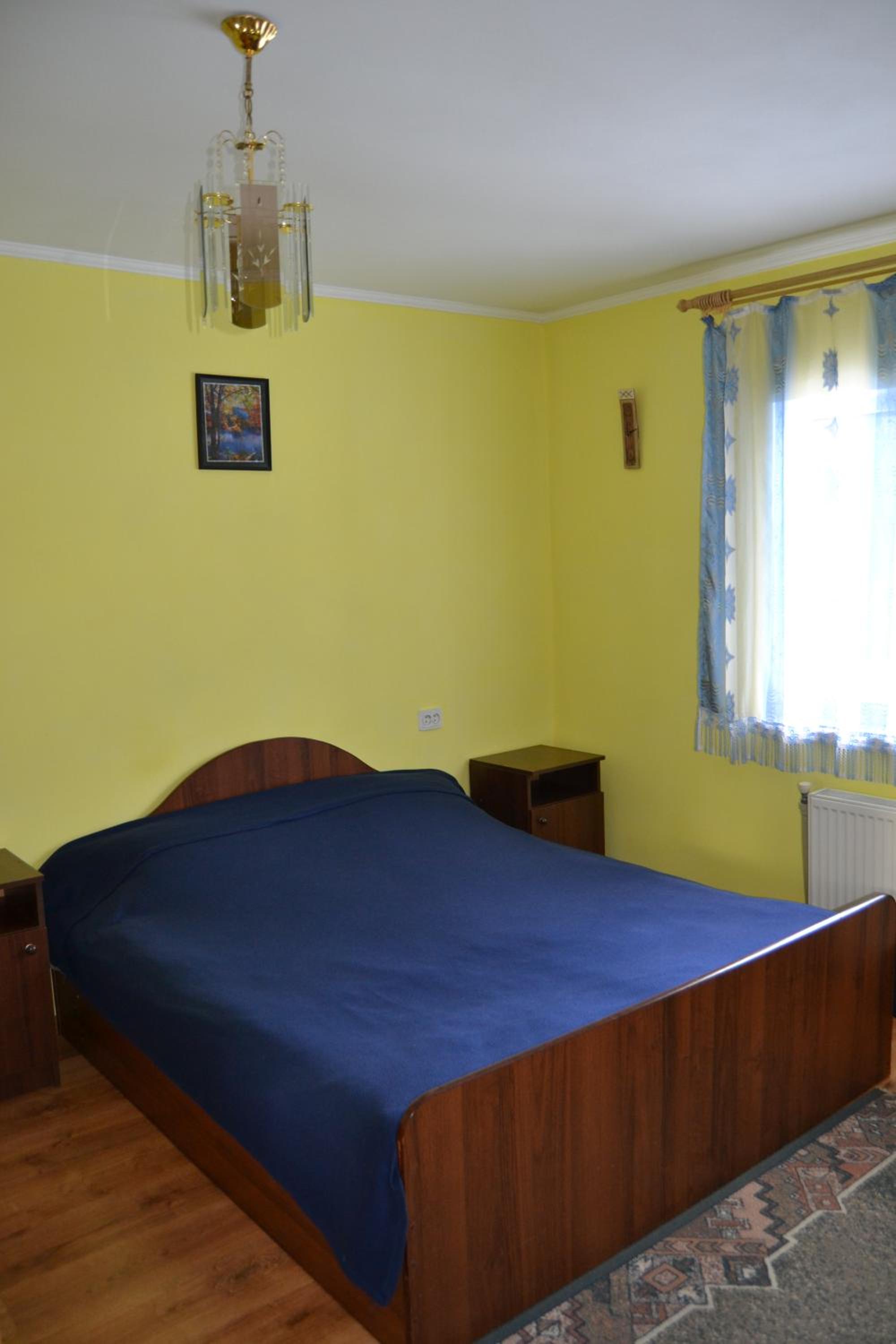 Карпатський Дуб view 4