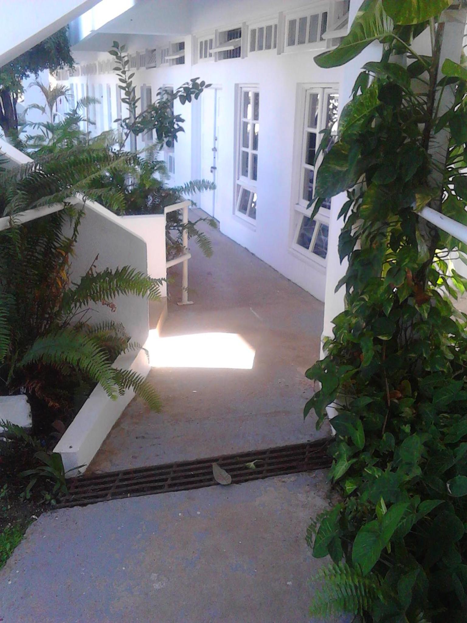 Photo 46