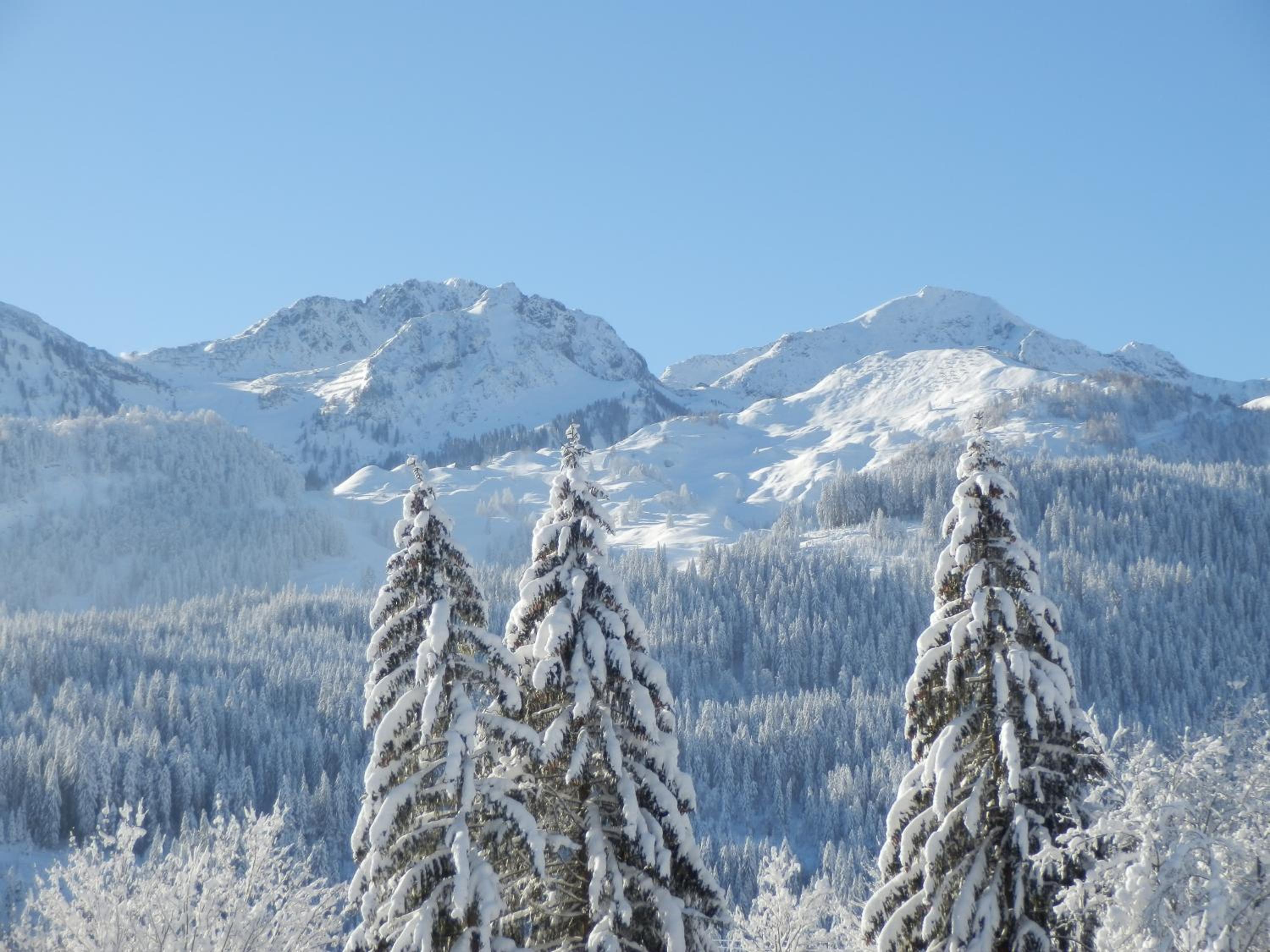 Ferienwohnung App. MOUNTAIN VIEW