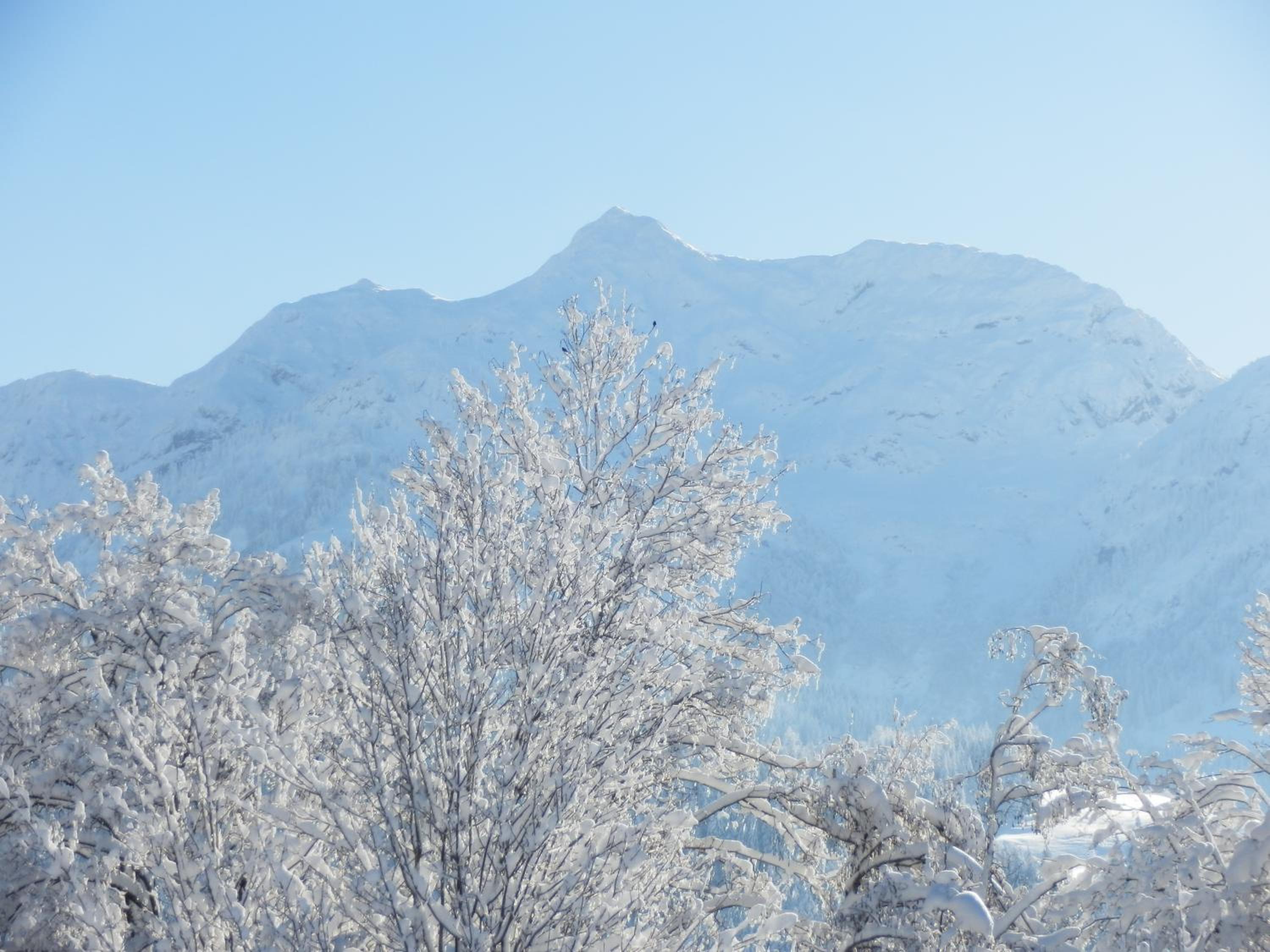 Ferienwohnung App. MOUNTAIN VIEW