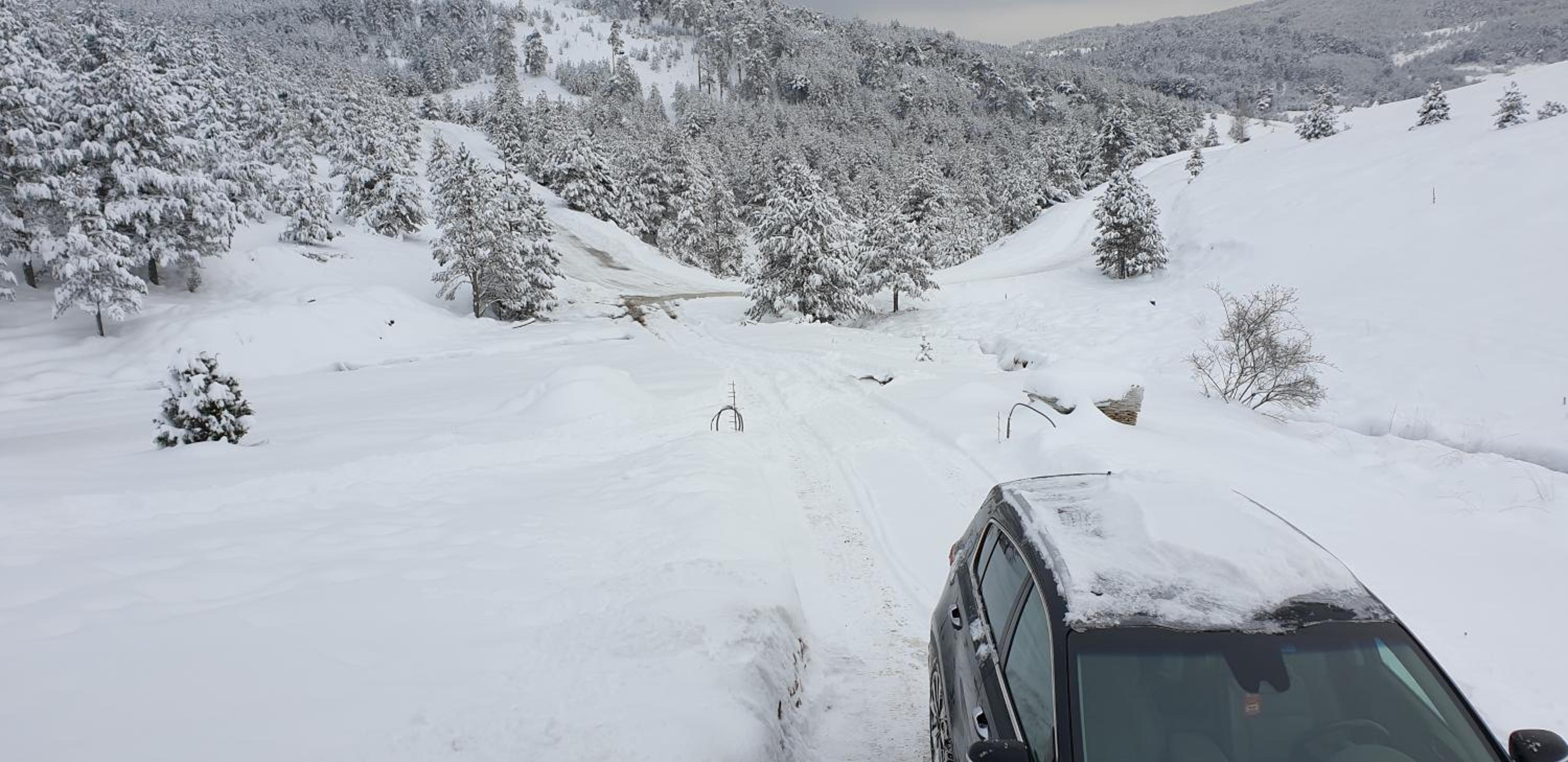 Photo 40