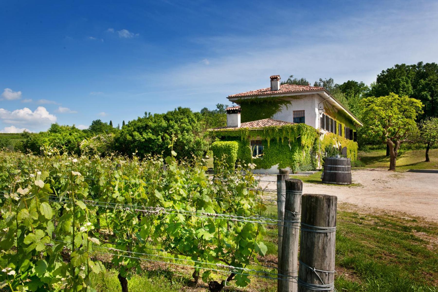 Agriturismo Tra Le Vigne