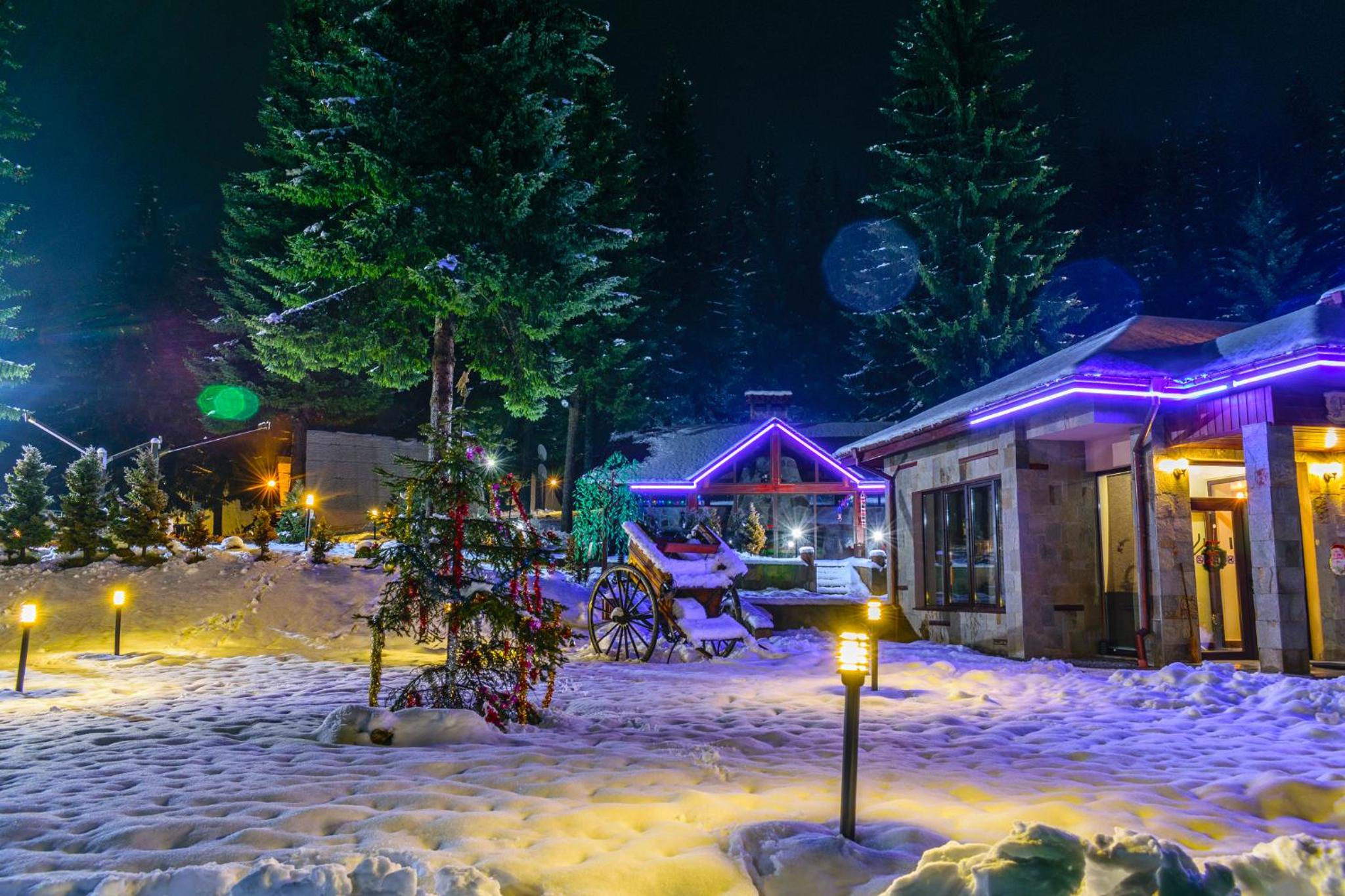 Romantica Forest Guest House
