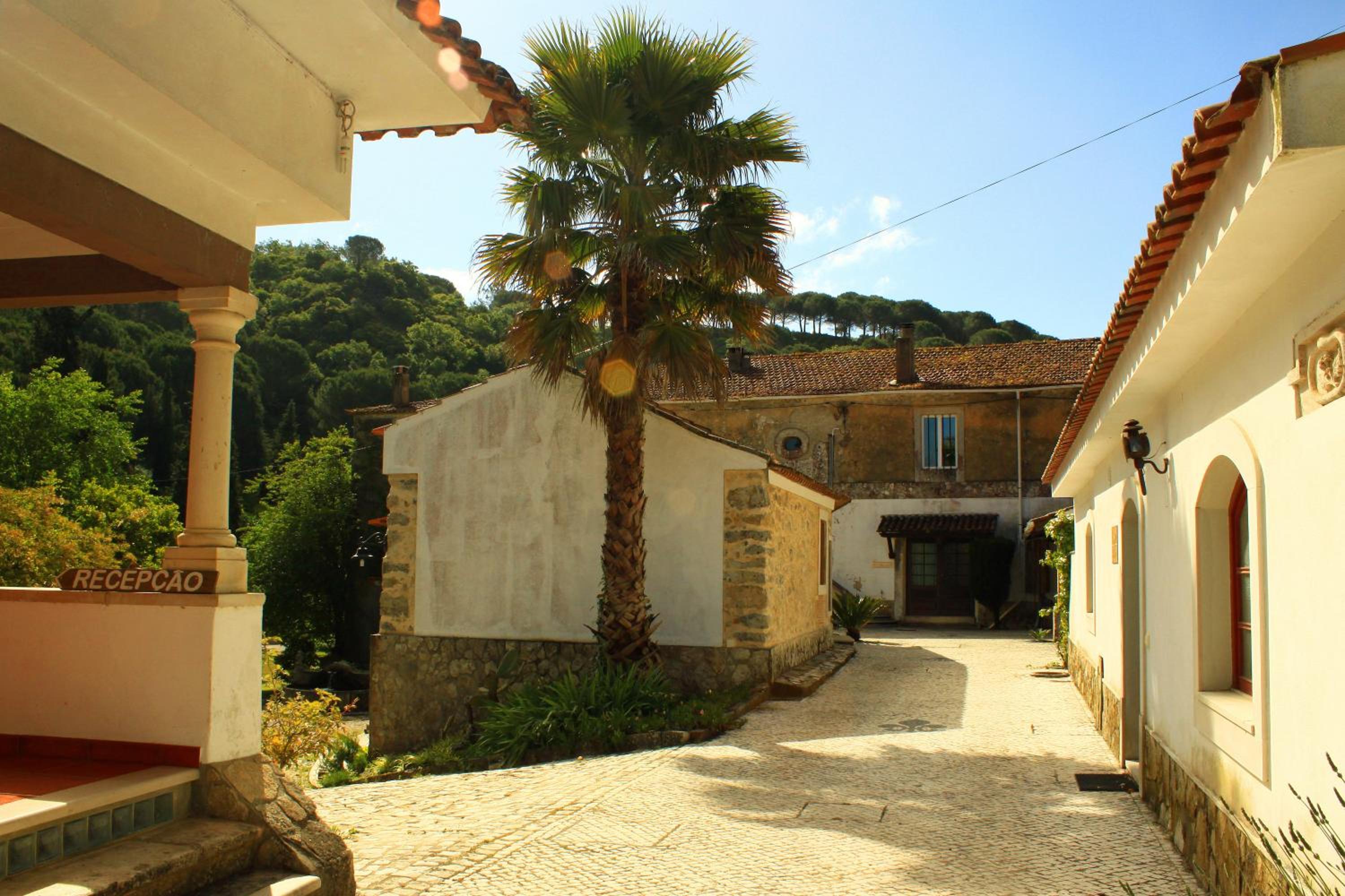 Quinta de Rio Alcaide