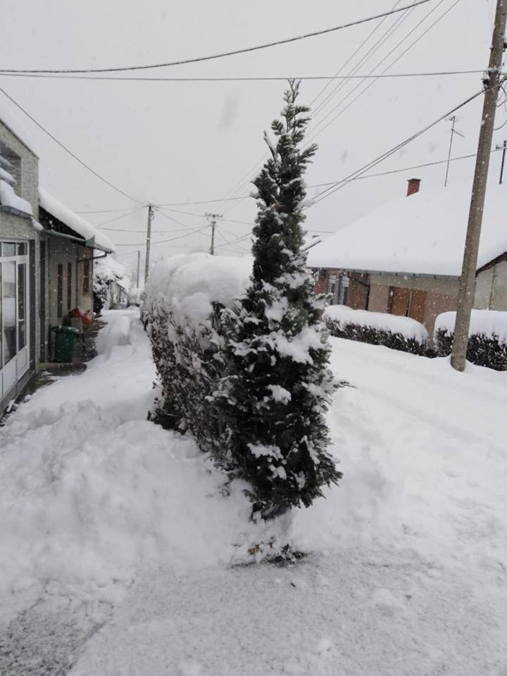 Photo 44