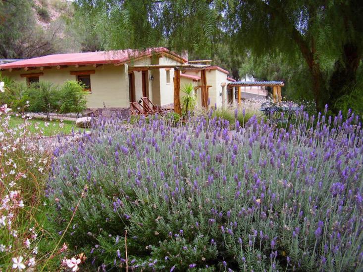 Posada Don Juan